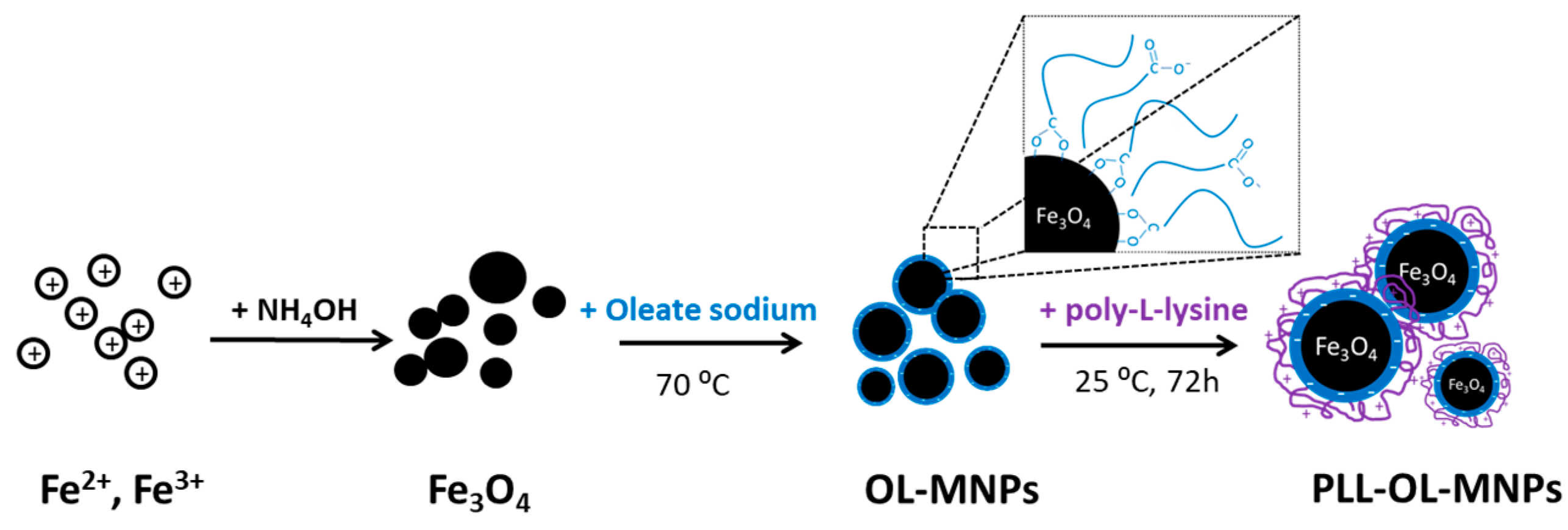 Nanomaterials 13 01831 sch001
