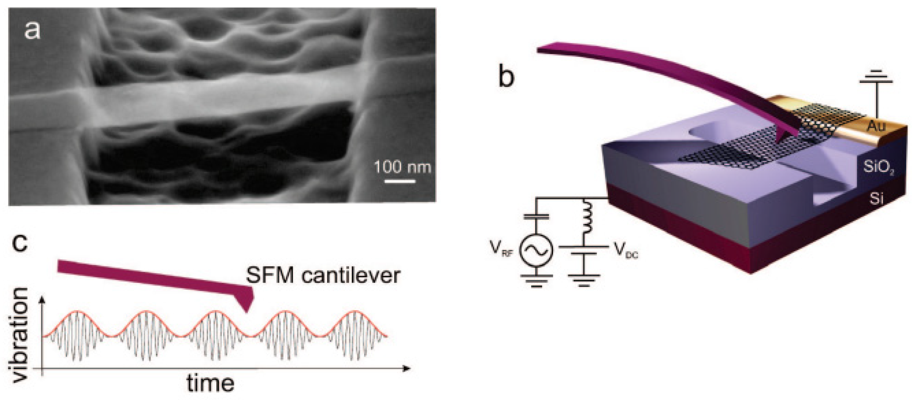 Nanomaterials 13 01834 g007 Nanomaterials 13 01834 g007