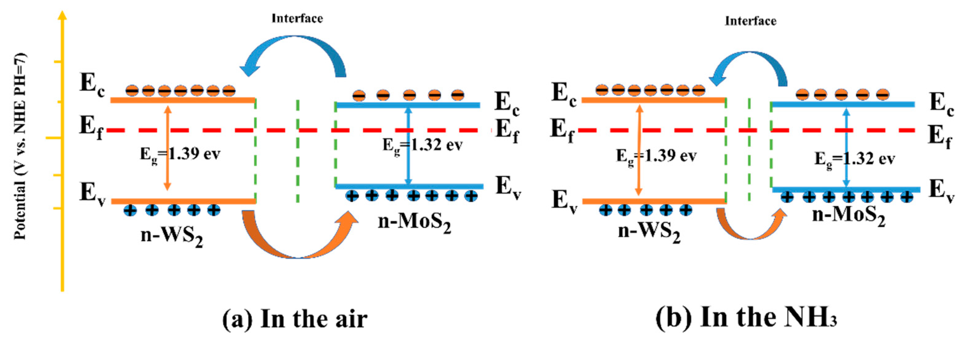 Nanomaterials 13 01835 g012 Nanomaterials 13 01835 g012