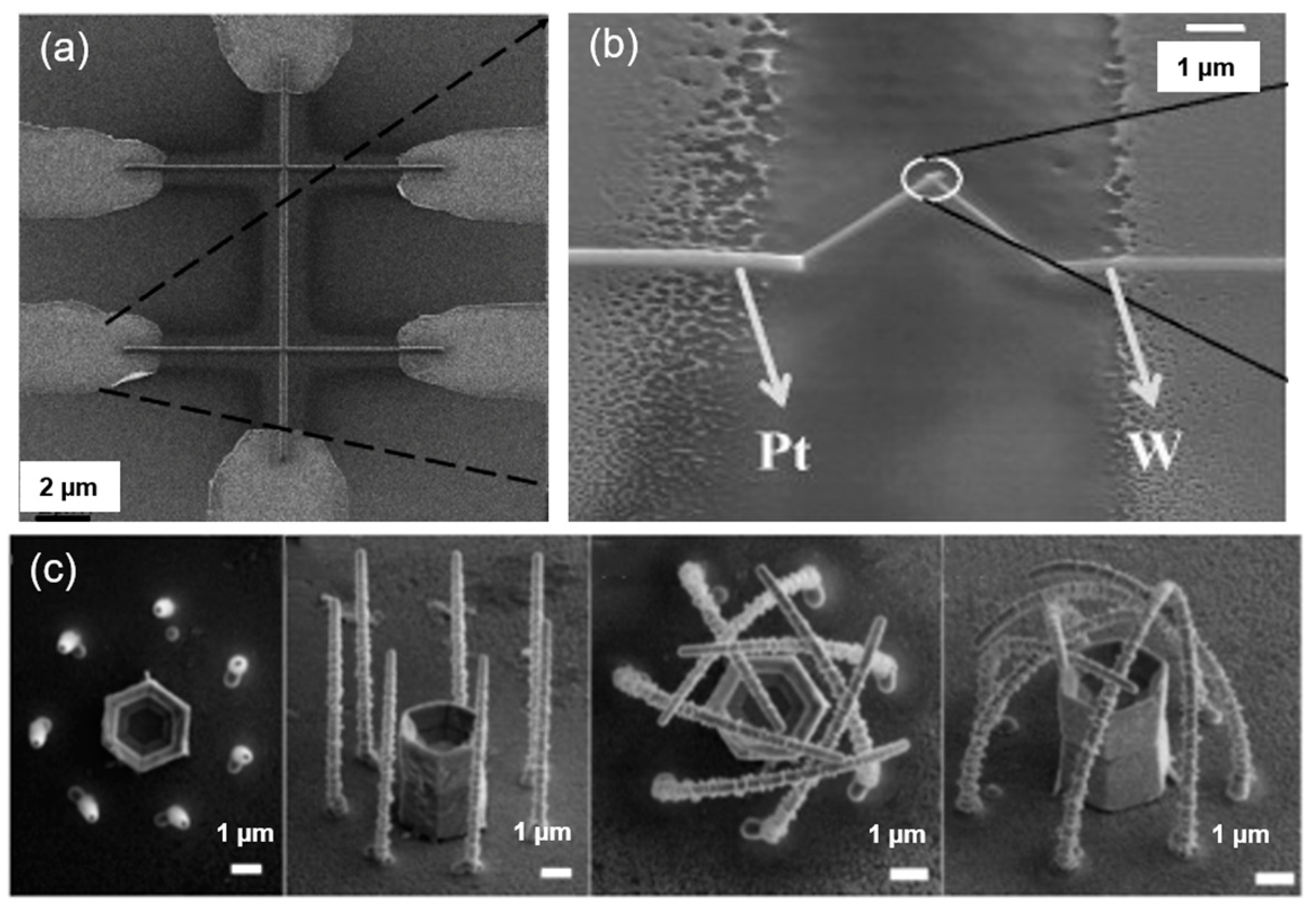 Nanomaterials 13 01839 g008 Nanomaterials 13 01839 g008