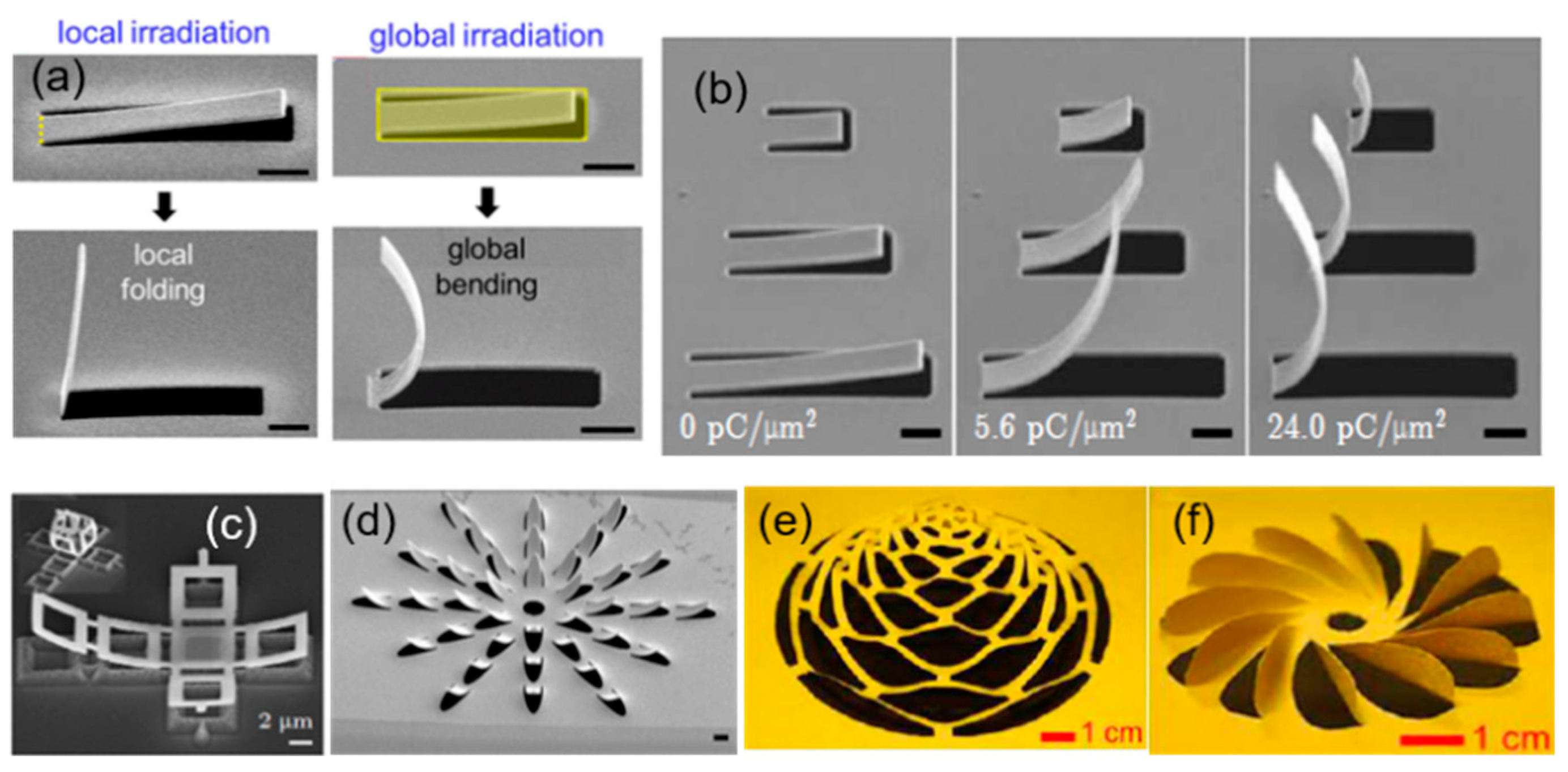 Nanomaterials 13 01839 g011 Nanomaterials 13 01839 g011