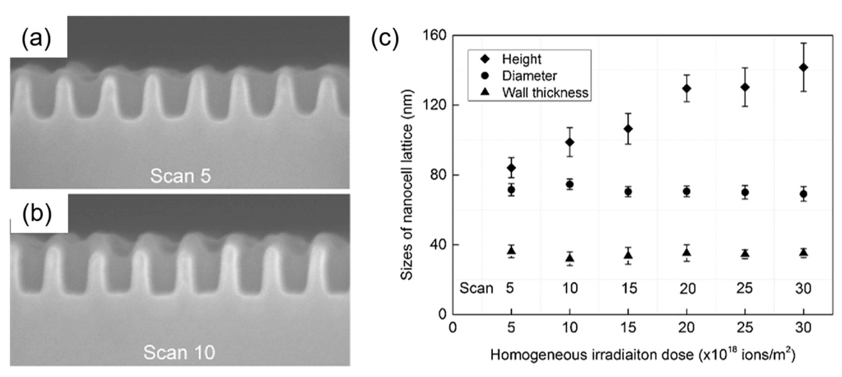 Nanomaterials 13 01839 g014 Nanomaterials 13 01839 g014