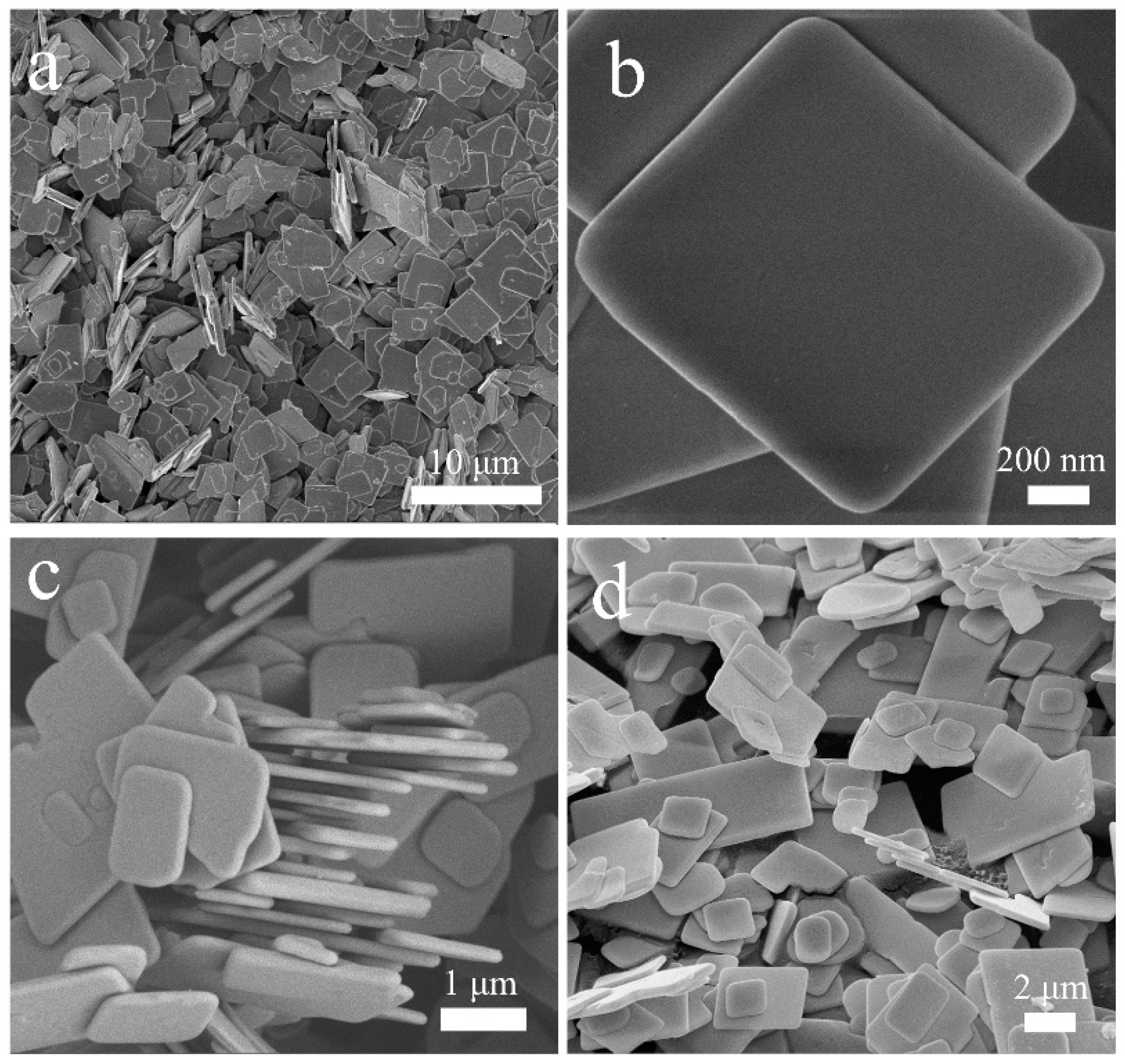 Nanomaterials 13 01841 g002