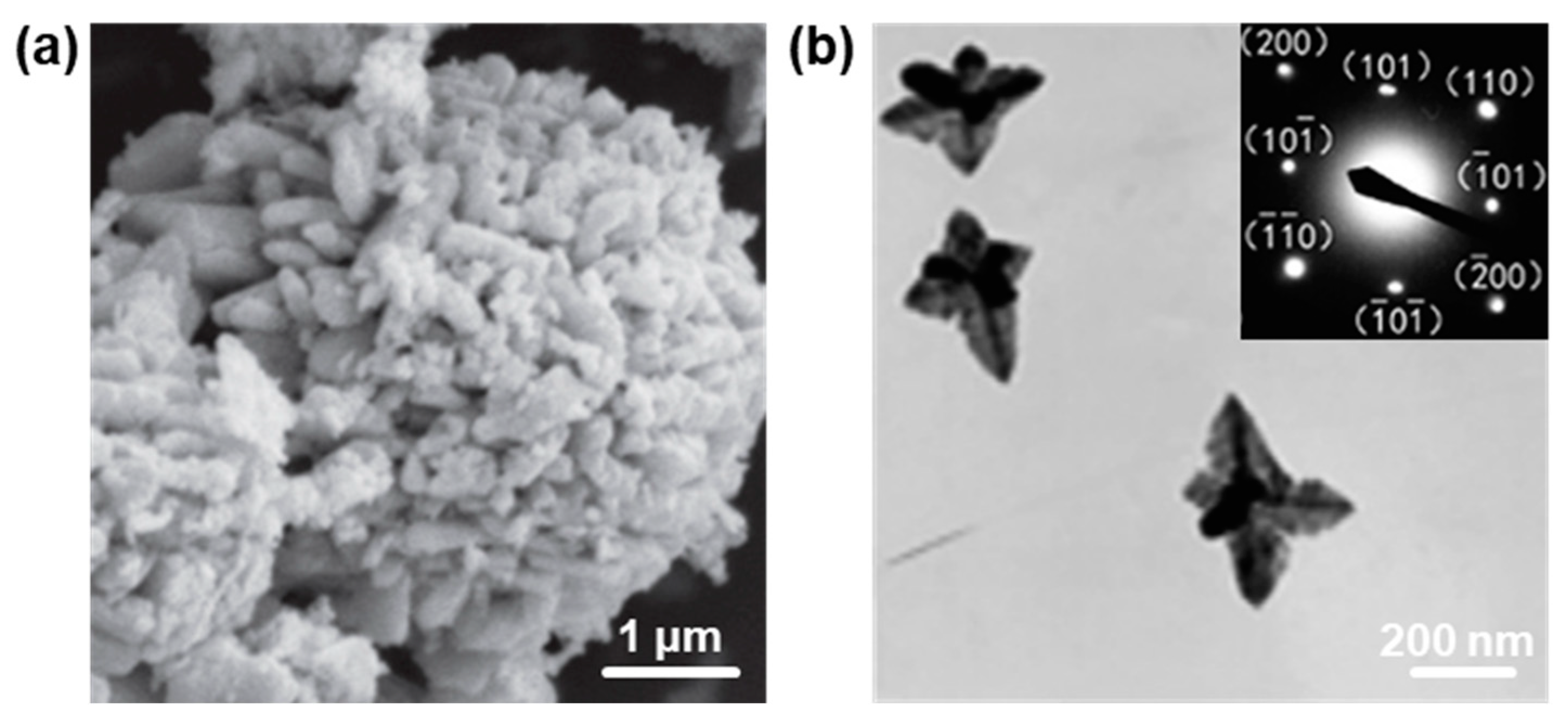 Nanomaterials 13 01842 g005