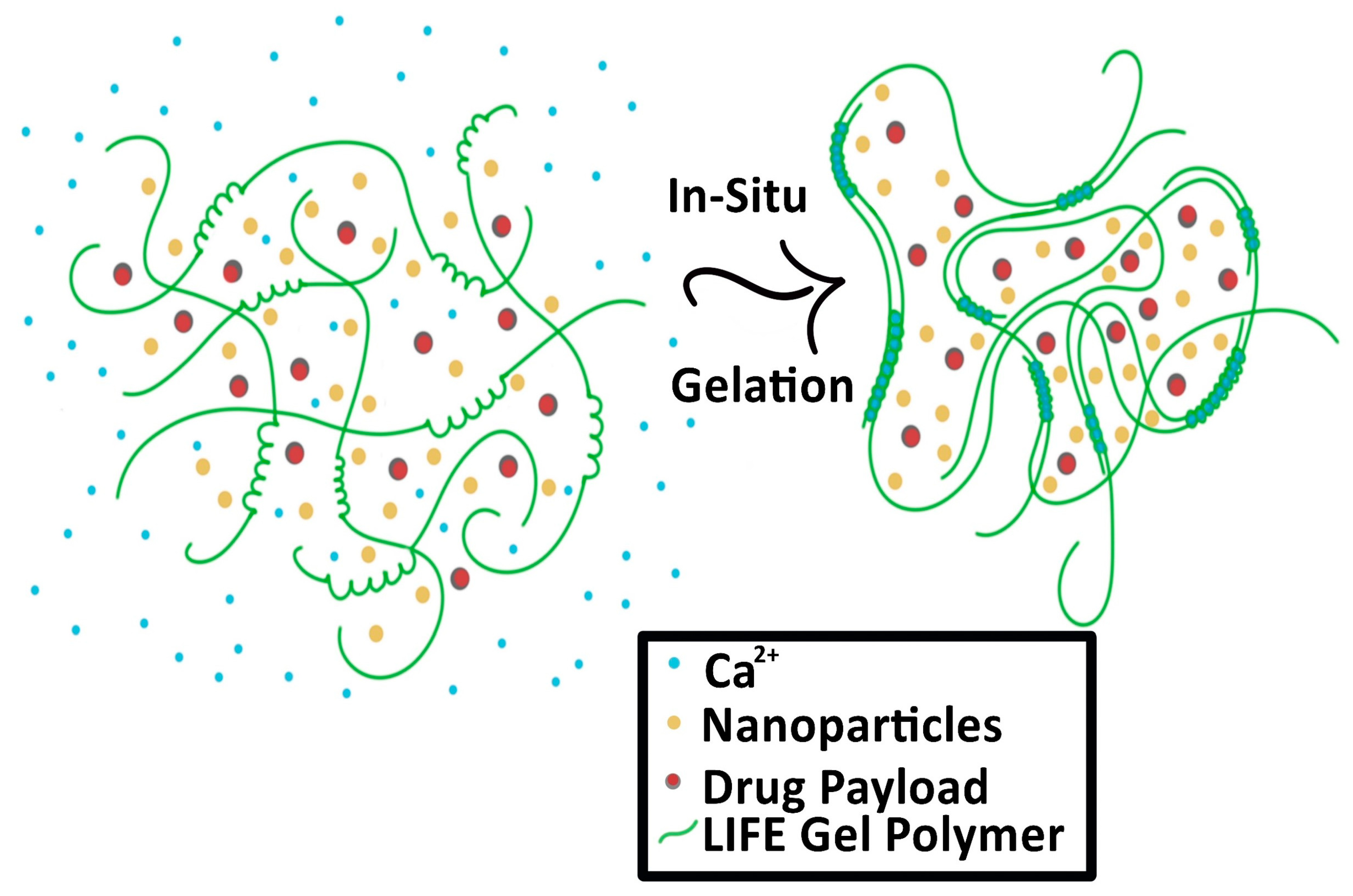 Nanomaterials 13 01844 g003