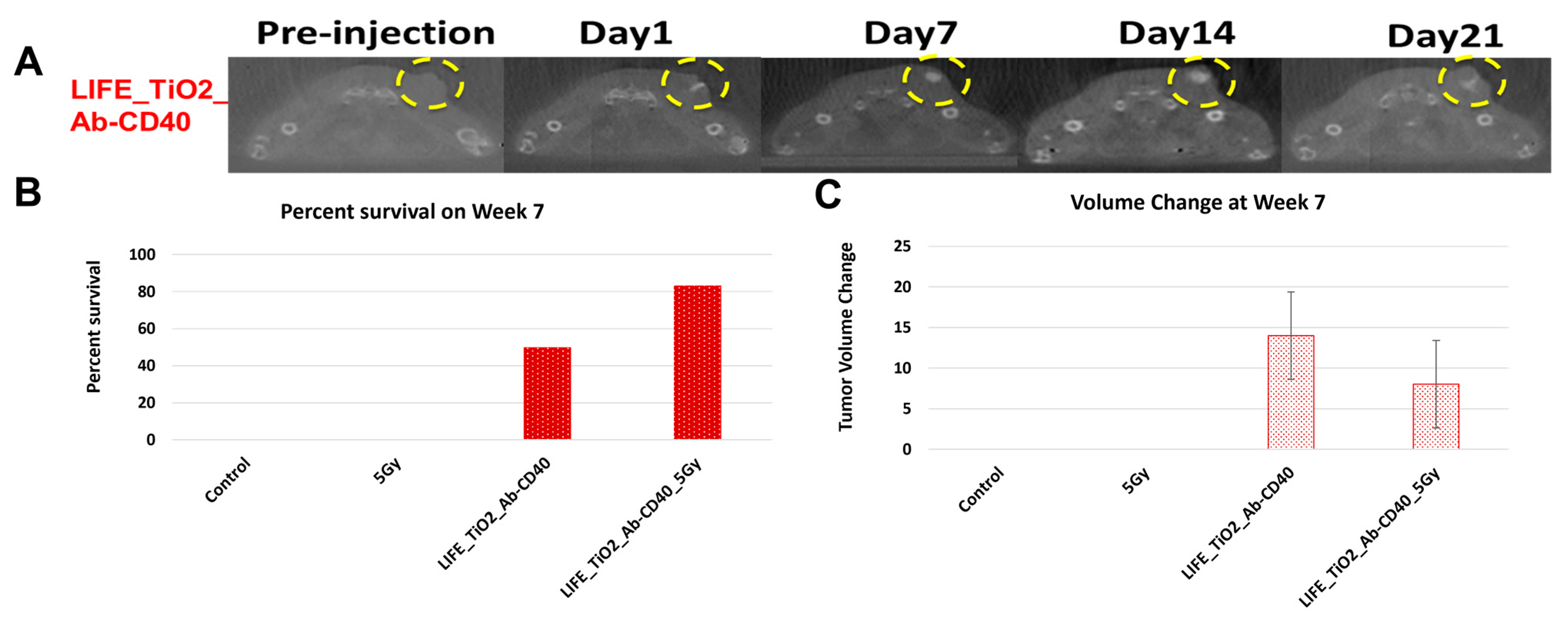 Nanomaterials 13 01844 g005