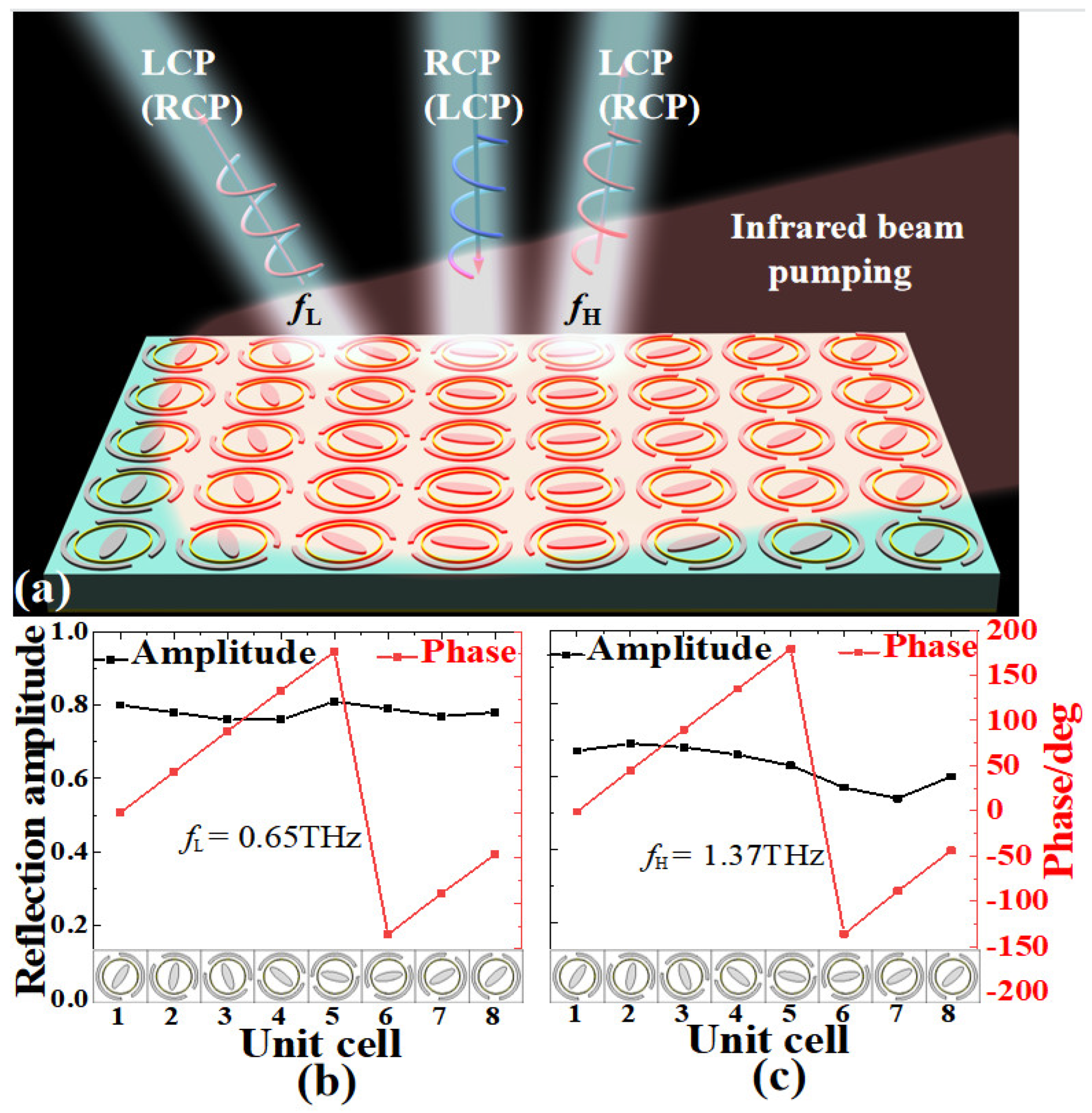 Nanomaterials 13 01846 g005