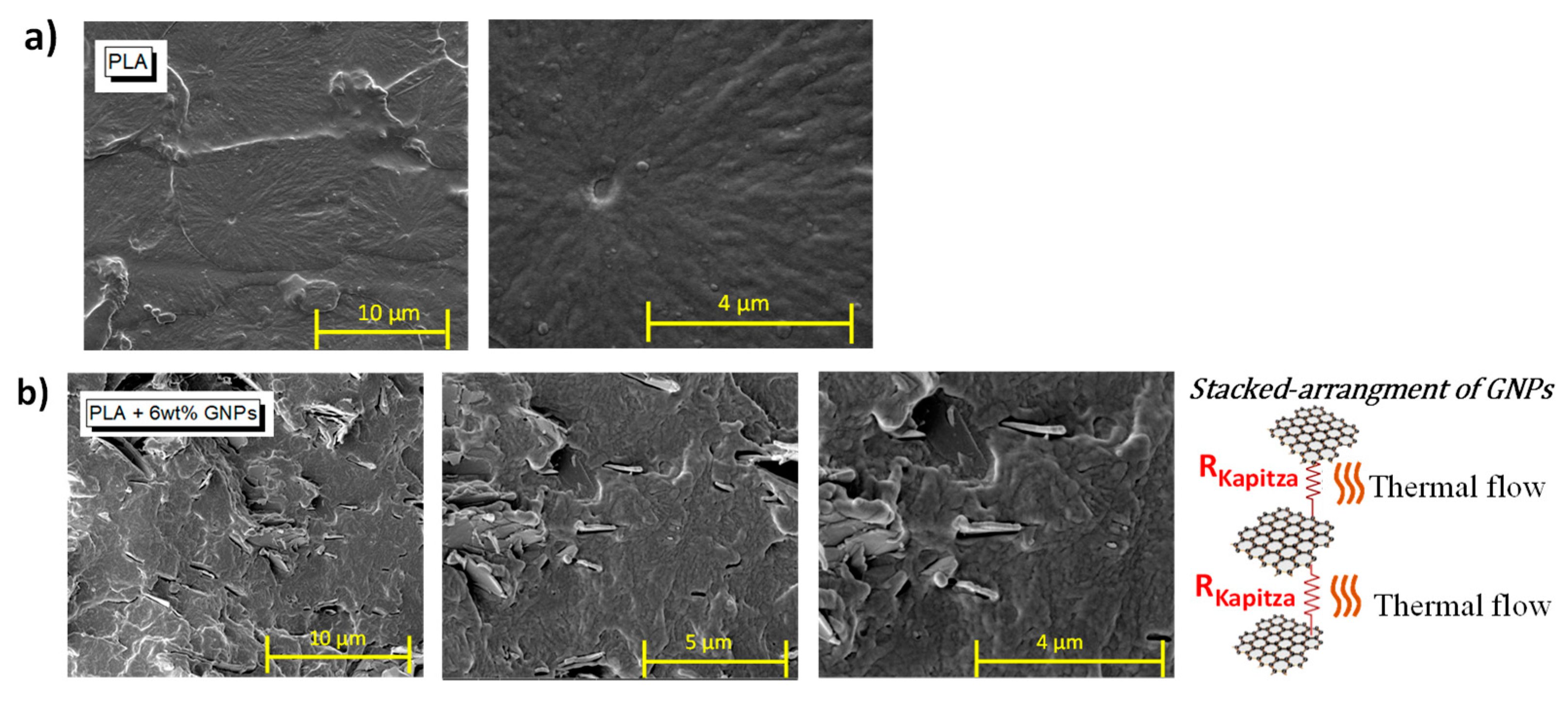Nanomaterials 13 01863 g003
