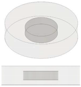 Nanomaterials 13 01863 i015