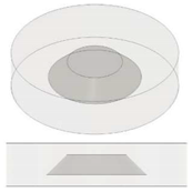 Nanomaterials 13 01863 i017