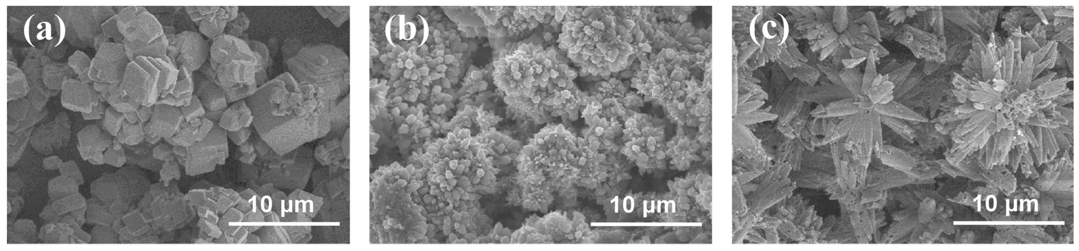 Nanomaterials 13 01864 g011