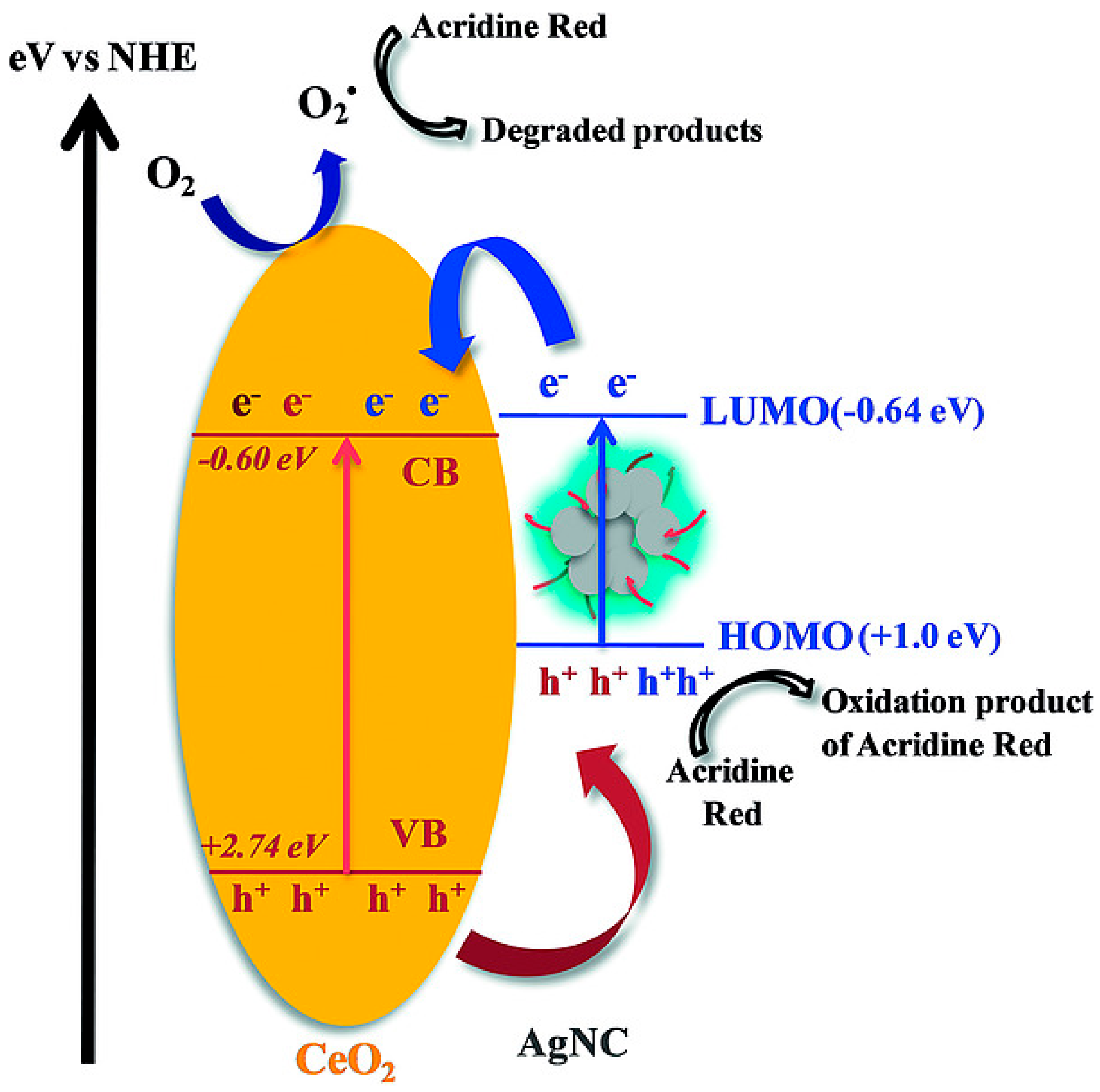 Nanomaterials 13 01874 g009