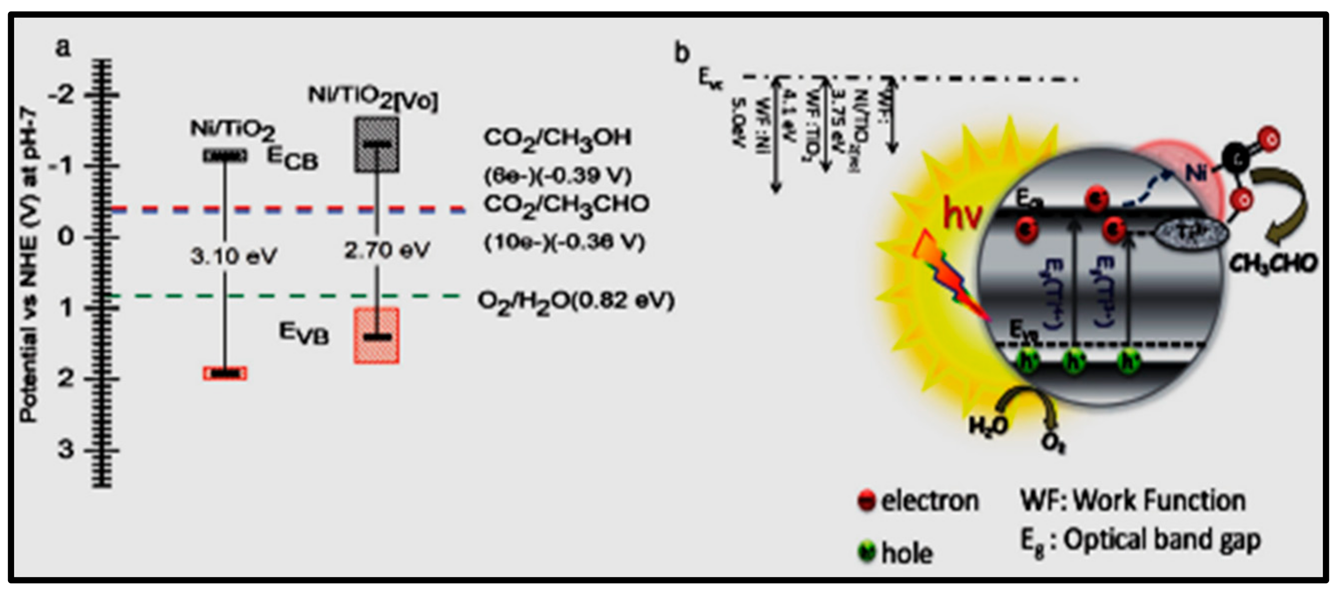 Nanomaterials 13 01874 g016