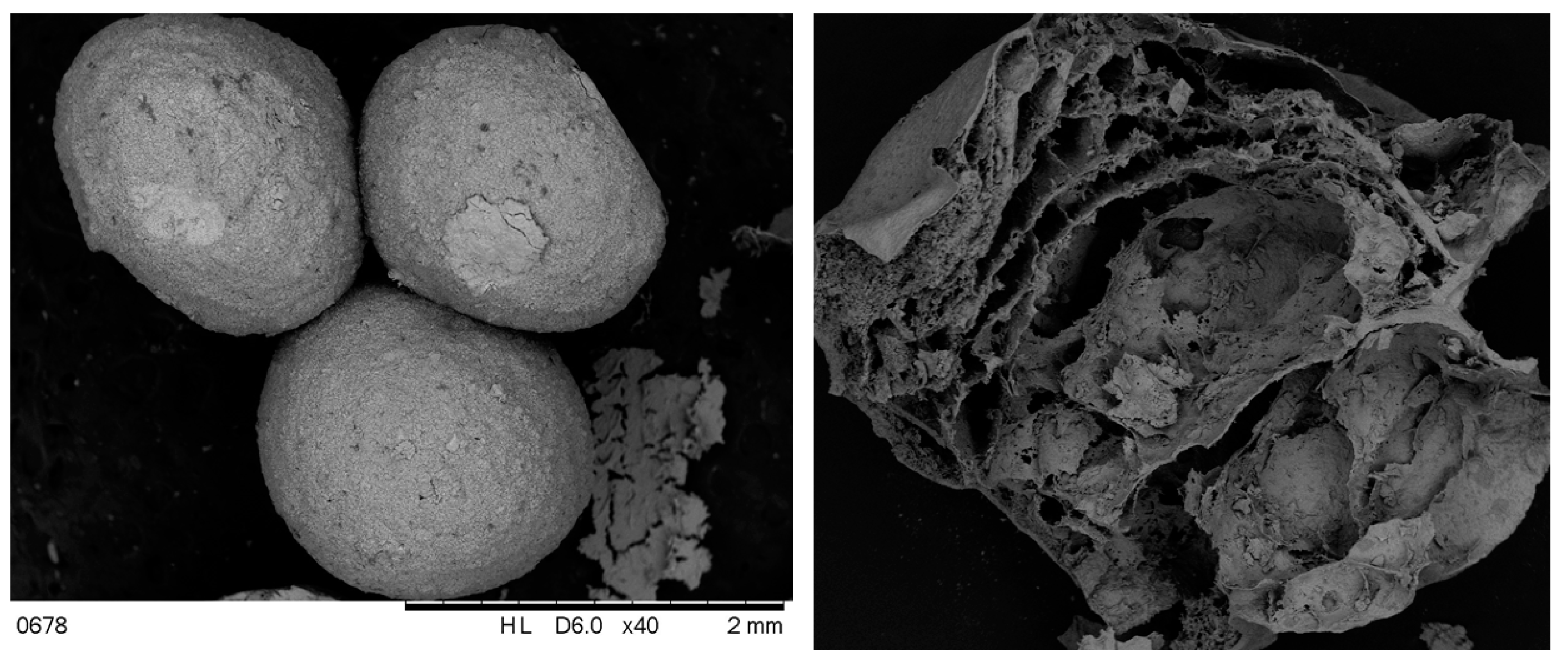 Nanomaterials 13 01876 g003