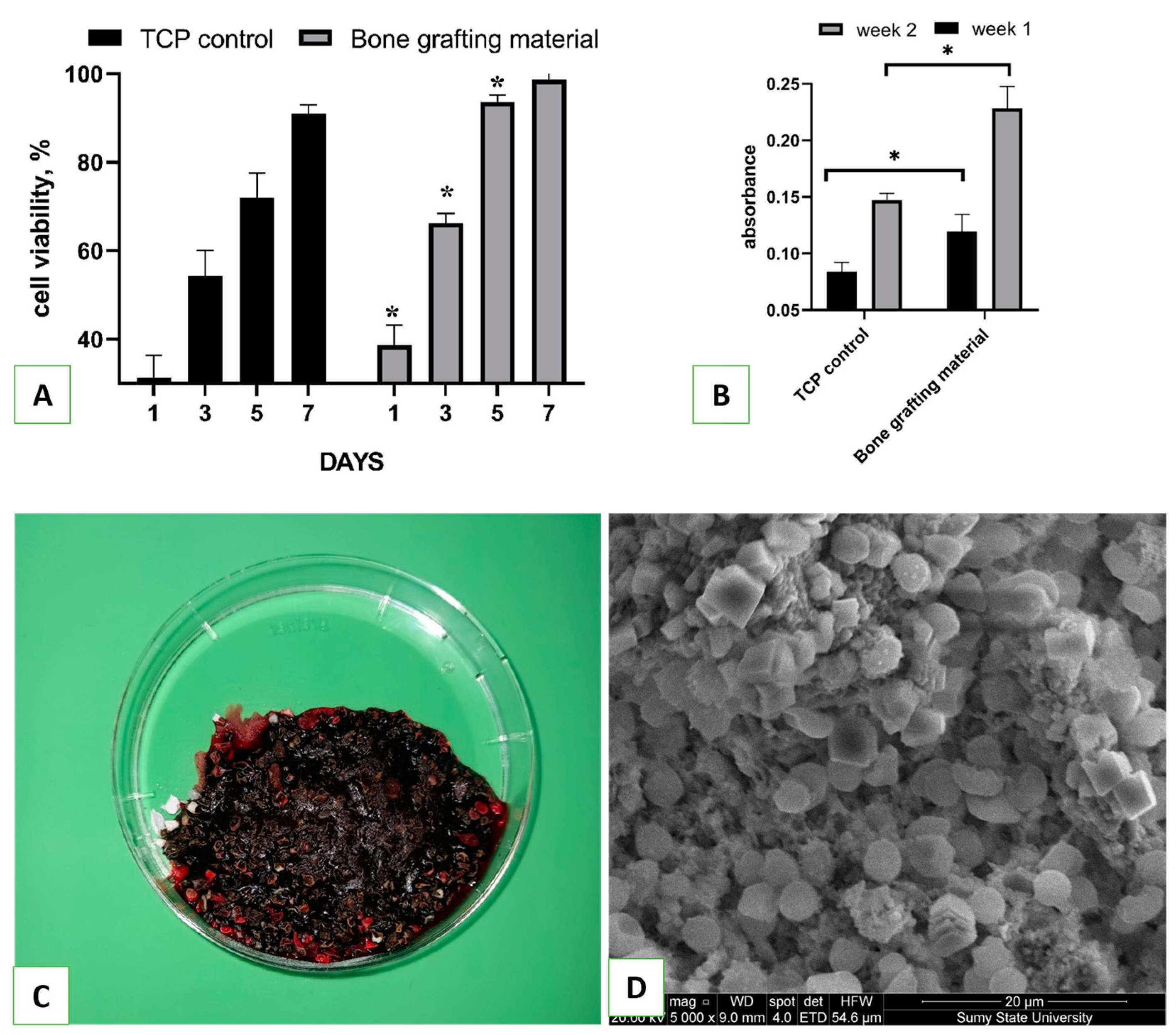 Nanomaterials 13 01876 g006