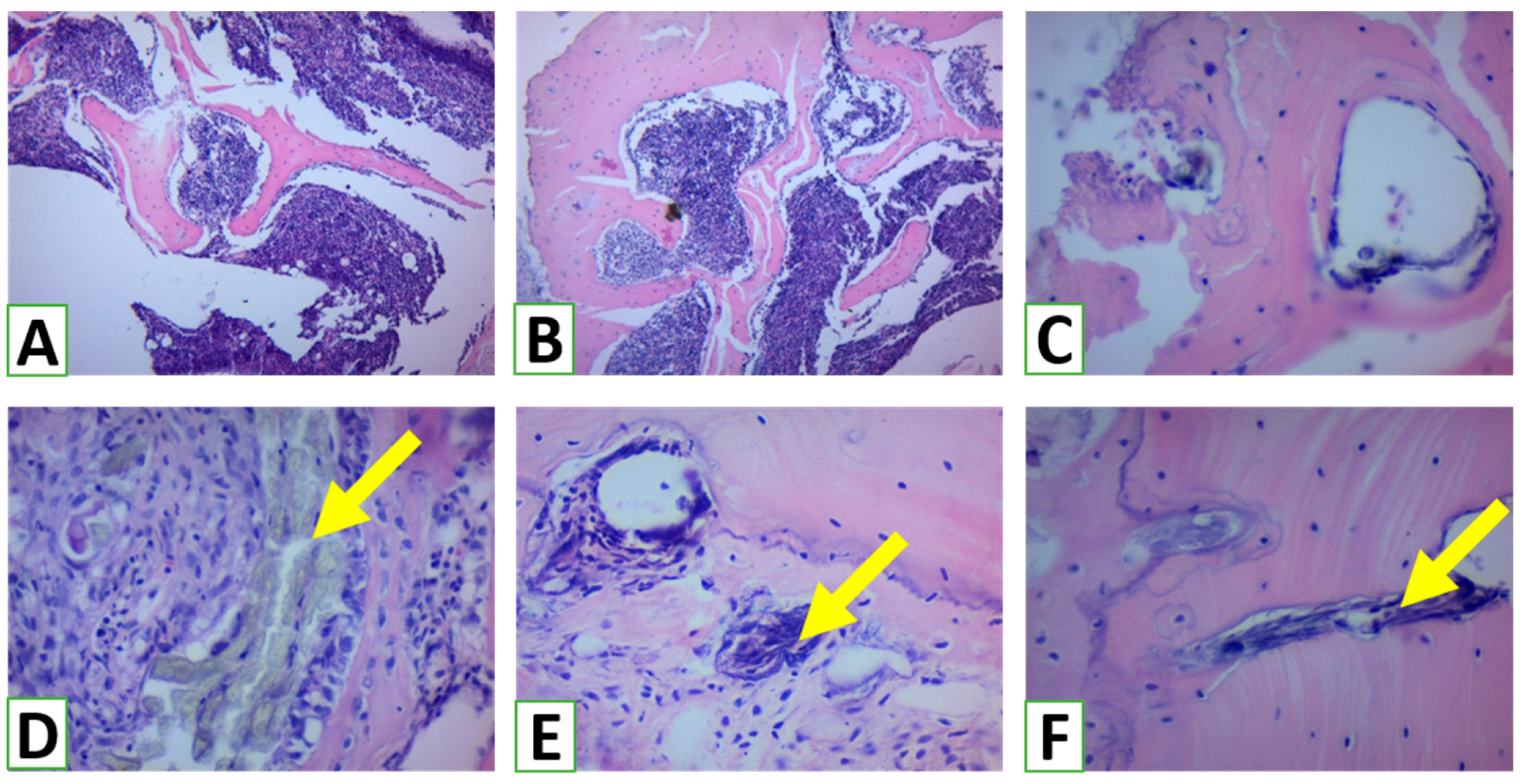 Nanomaterials 13 01876 g007