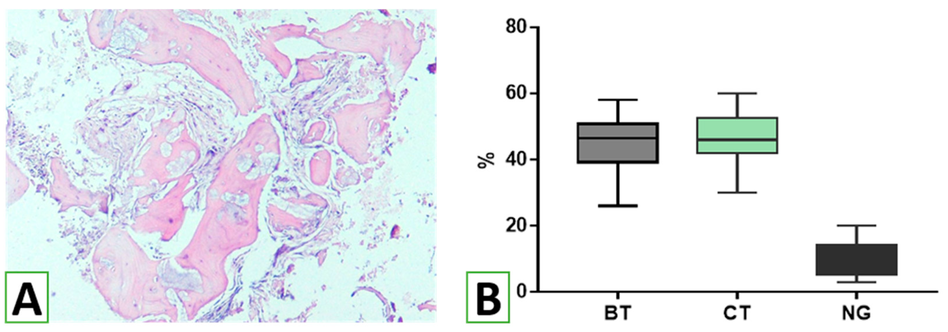 Nanomaterials 13 01876 g009