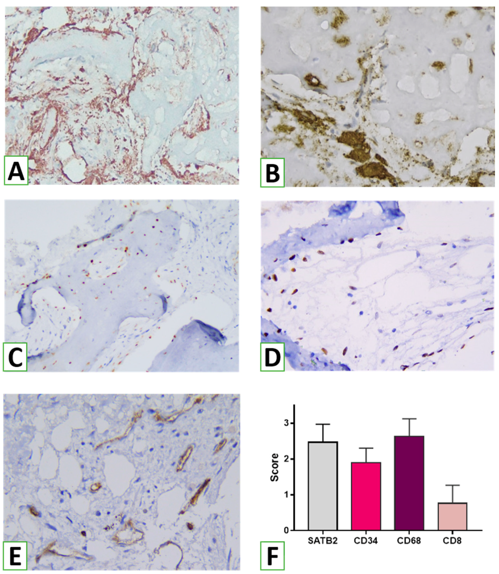 Nanomaterials 13 01876 g011