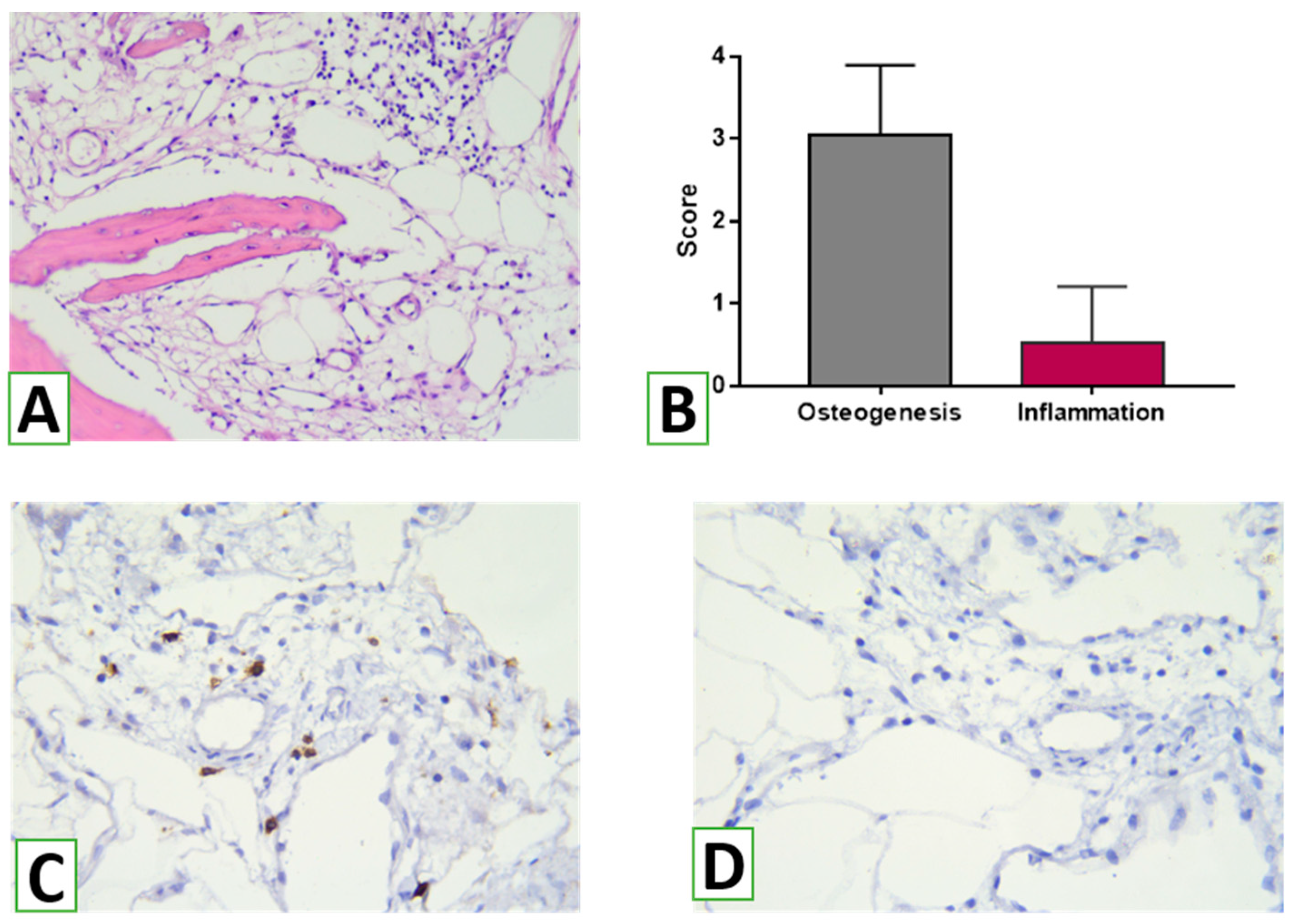 Nanomaterials 13 01876 g012