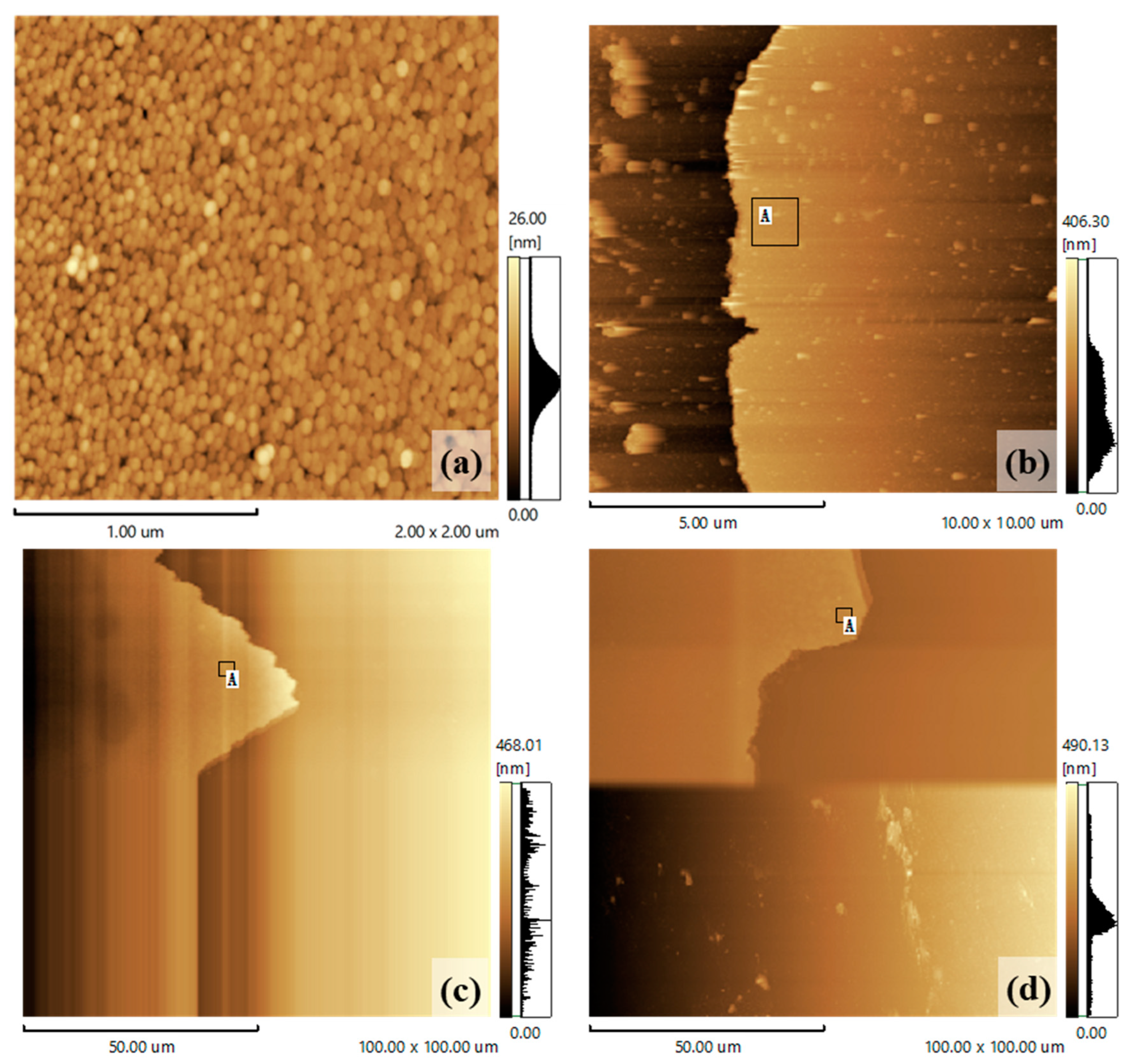 Nanomaterials 13 01877 g002