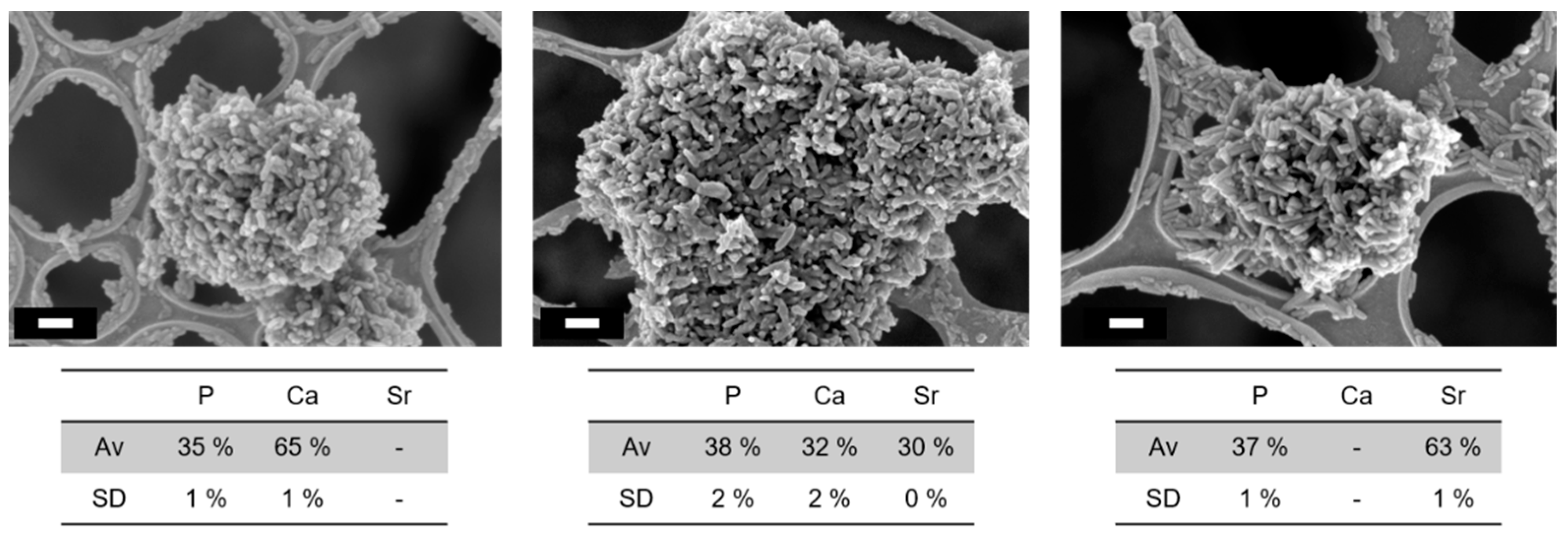 Nanomaterials 13 01881 g001 Nanomaterials 13 01881 g001