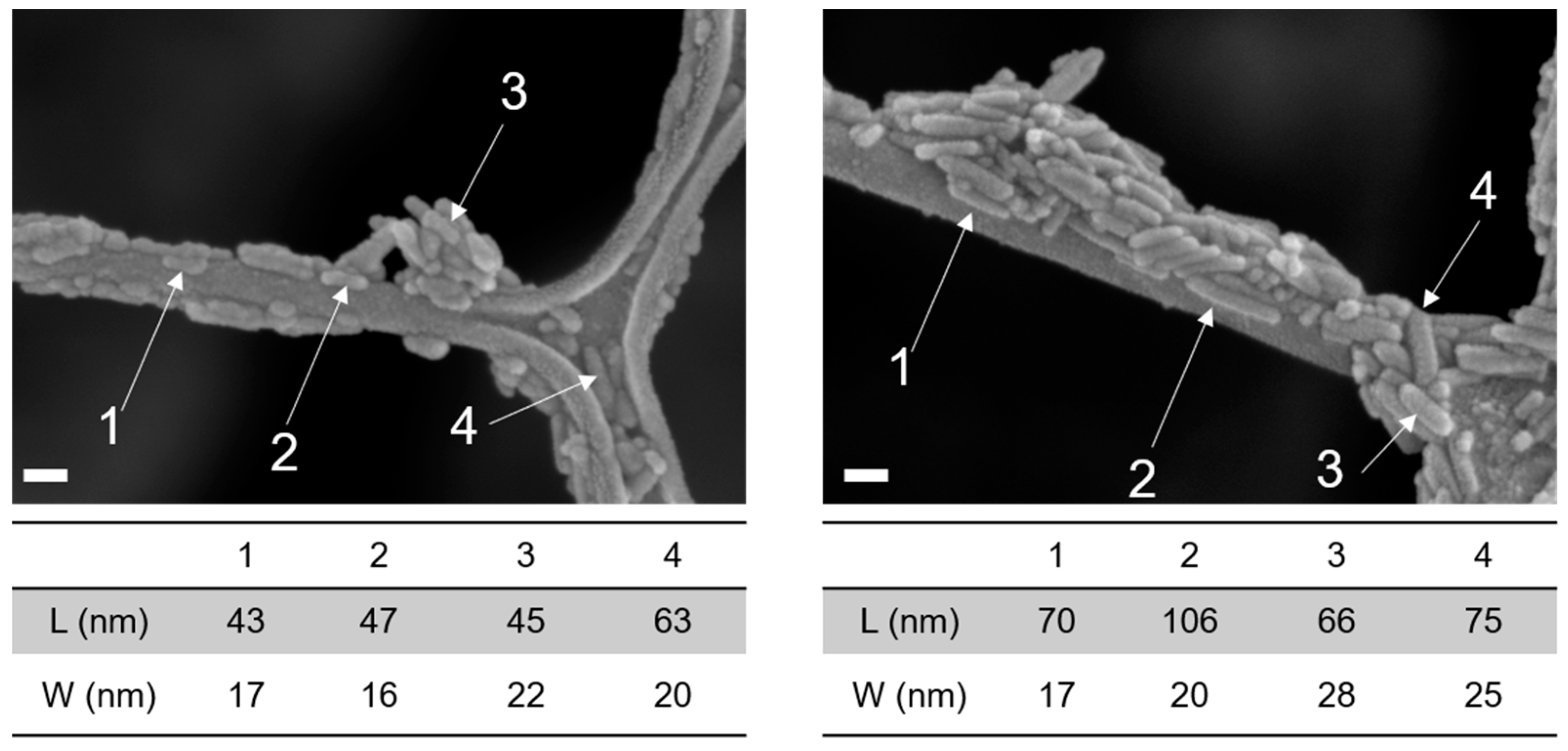 Nanomaterials 13 01881 g002 Nanomaterials 13 01881 g002