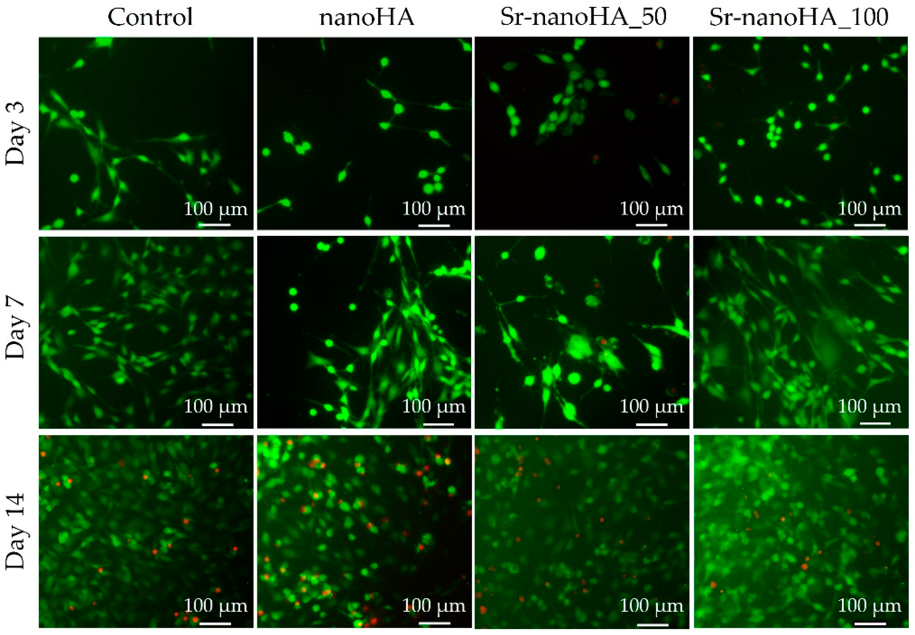 Nanomaterials 13 01881 g006 Nanomaterials 13 01881 g006