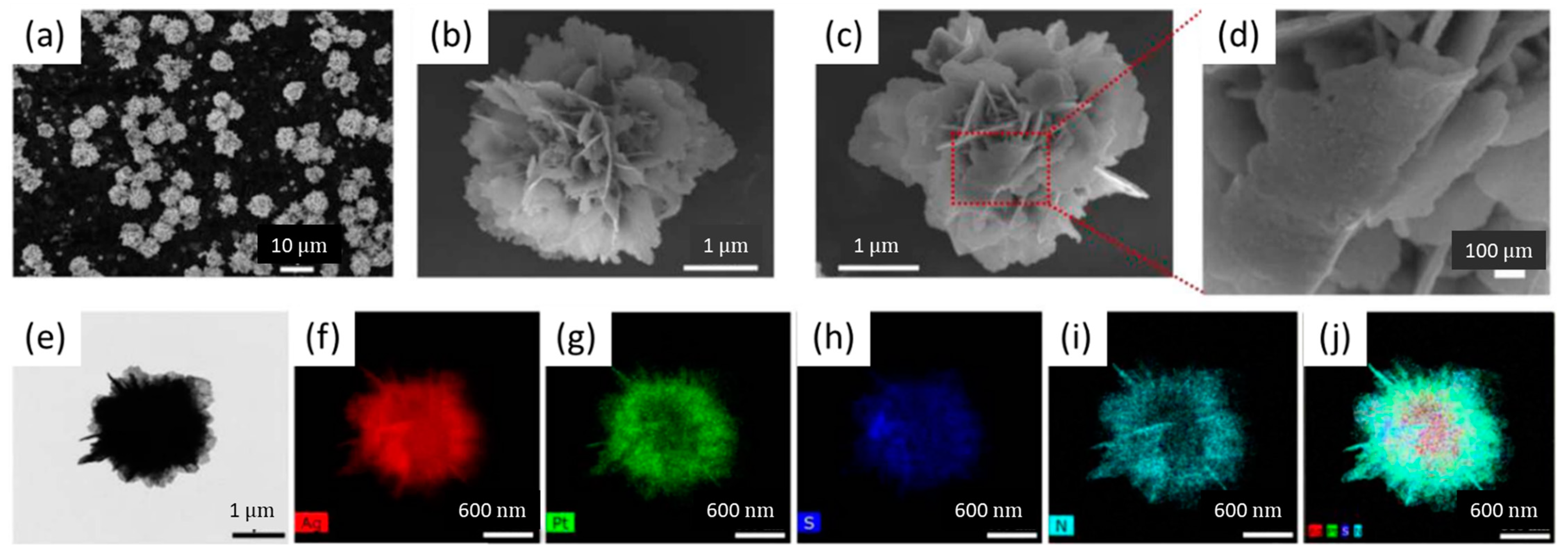 Nanomaterials 13 01883 g001
