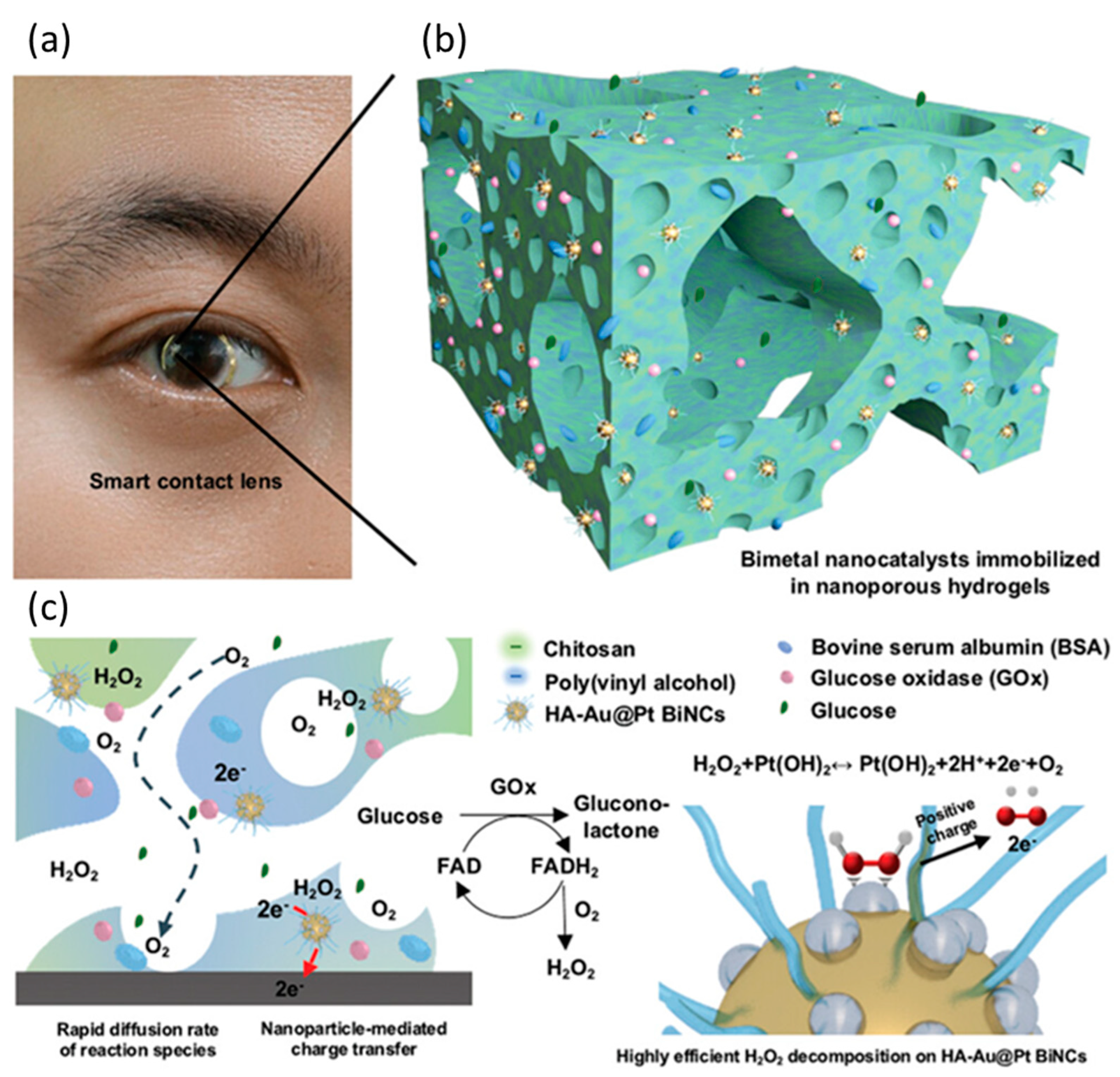 Nanomaterials 13 01883 g006