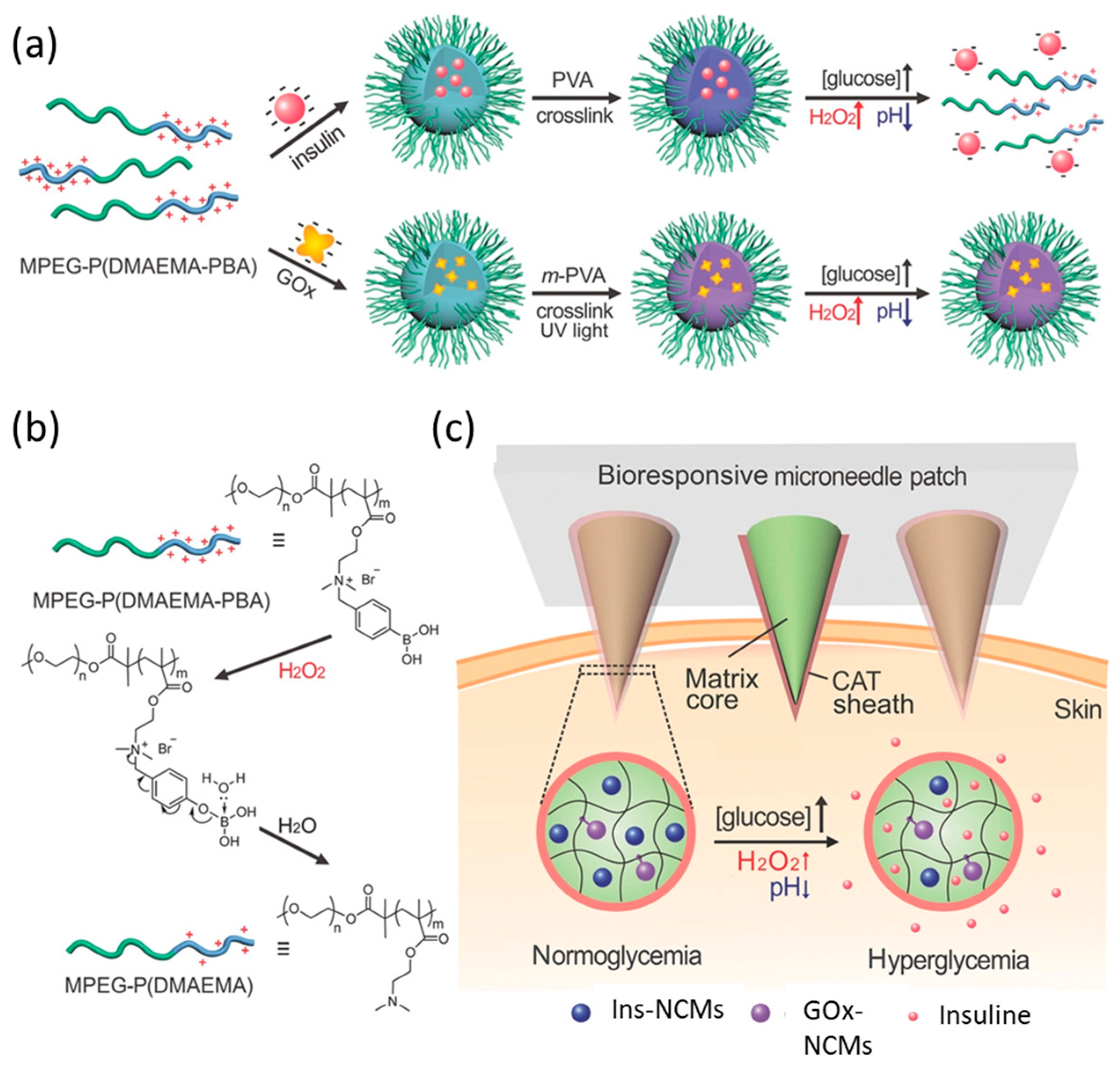 Nanomaterials 13 01883 g007