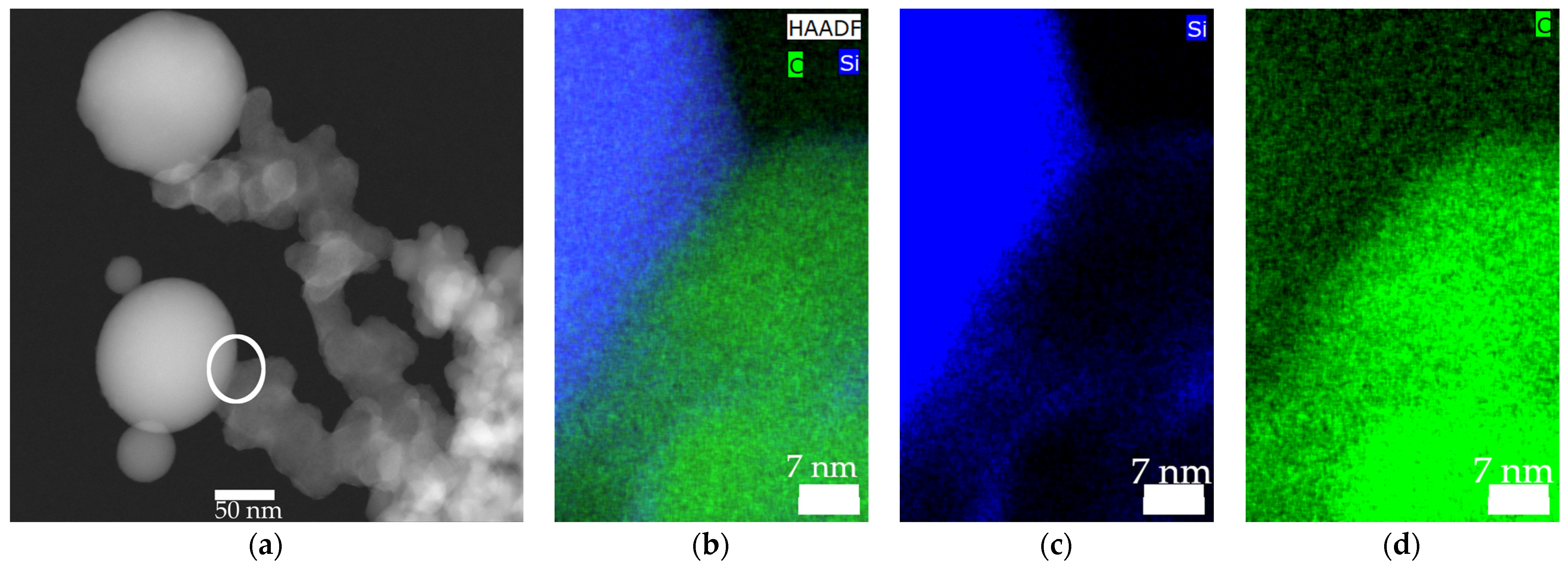 Nanomaterials 13 01893 g003