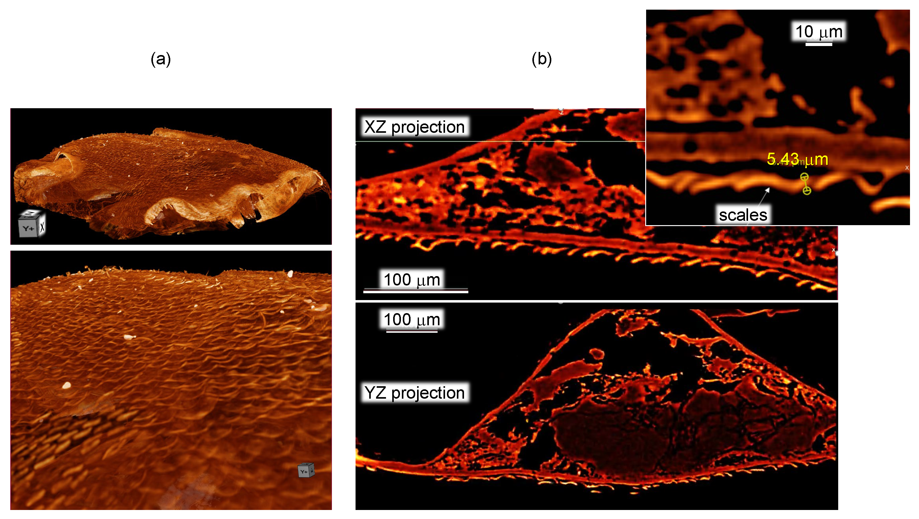 Nanomaterials 13 01894 g005
