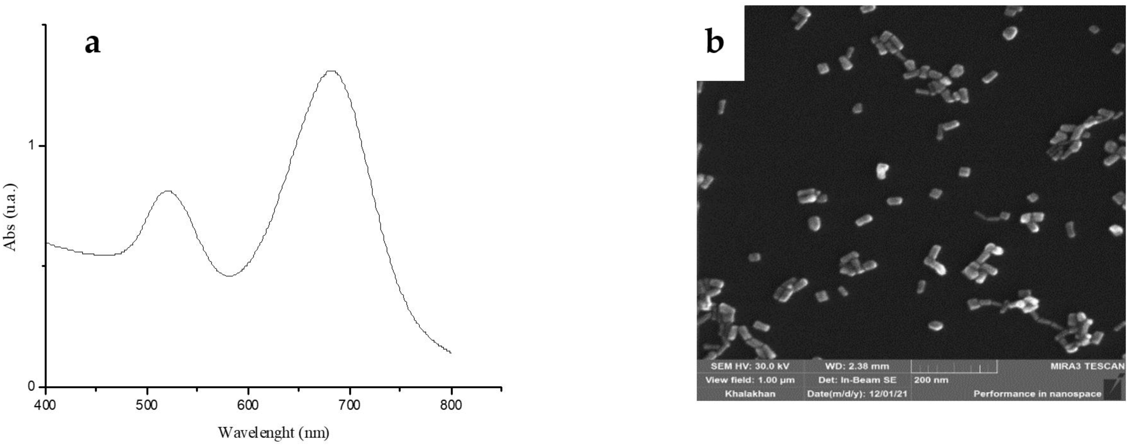 Nanomaterials 13 01898 g001 Nanomaterials 13 01898 g001