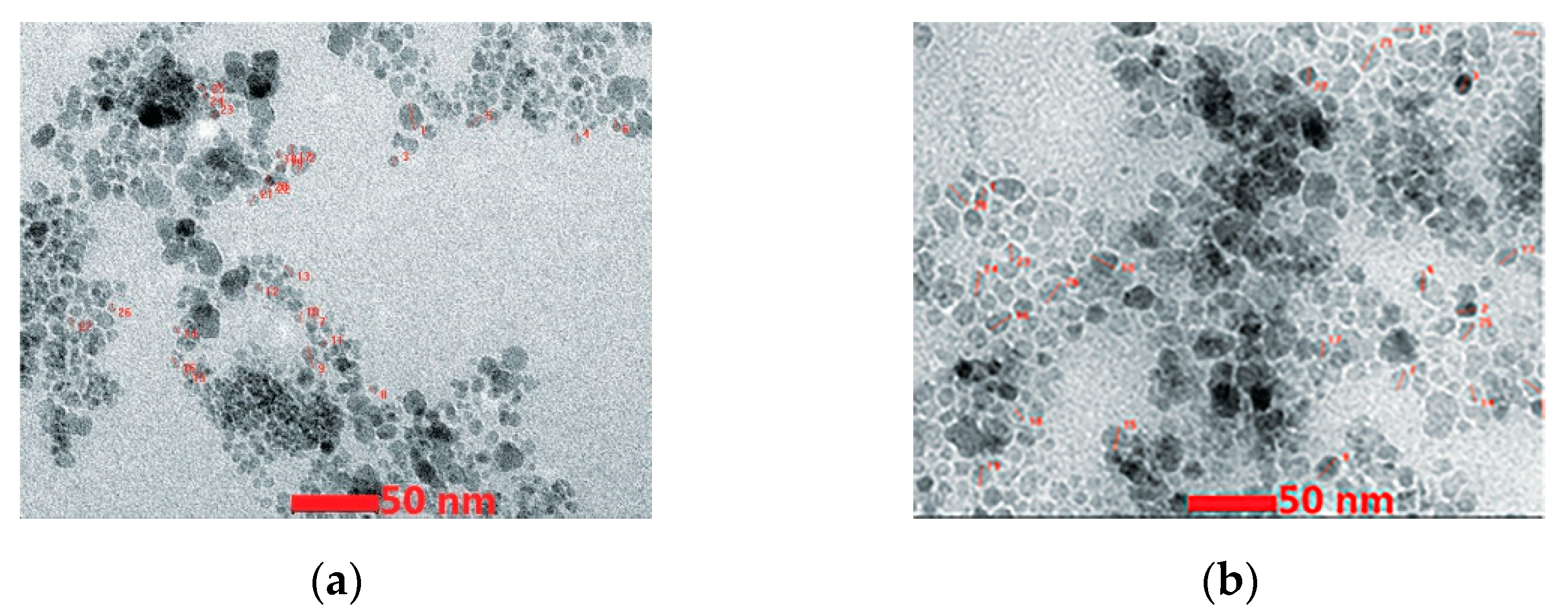Nanomaterials 13 01902 g006