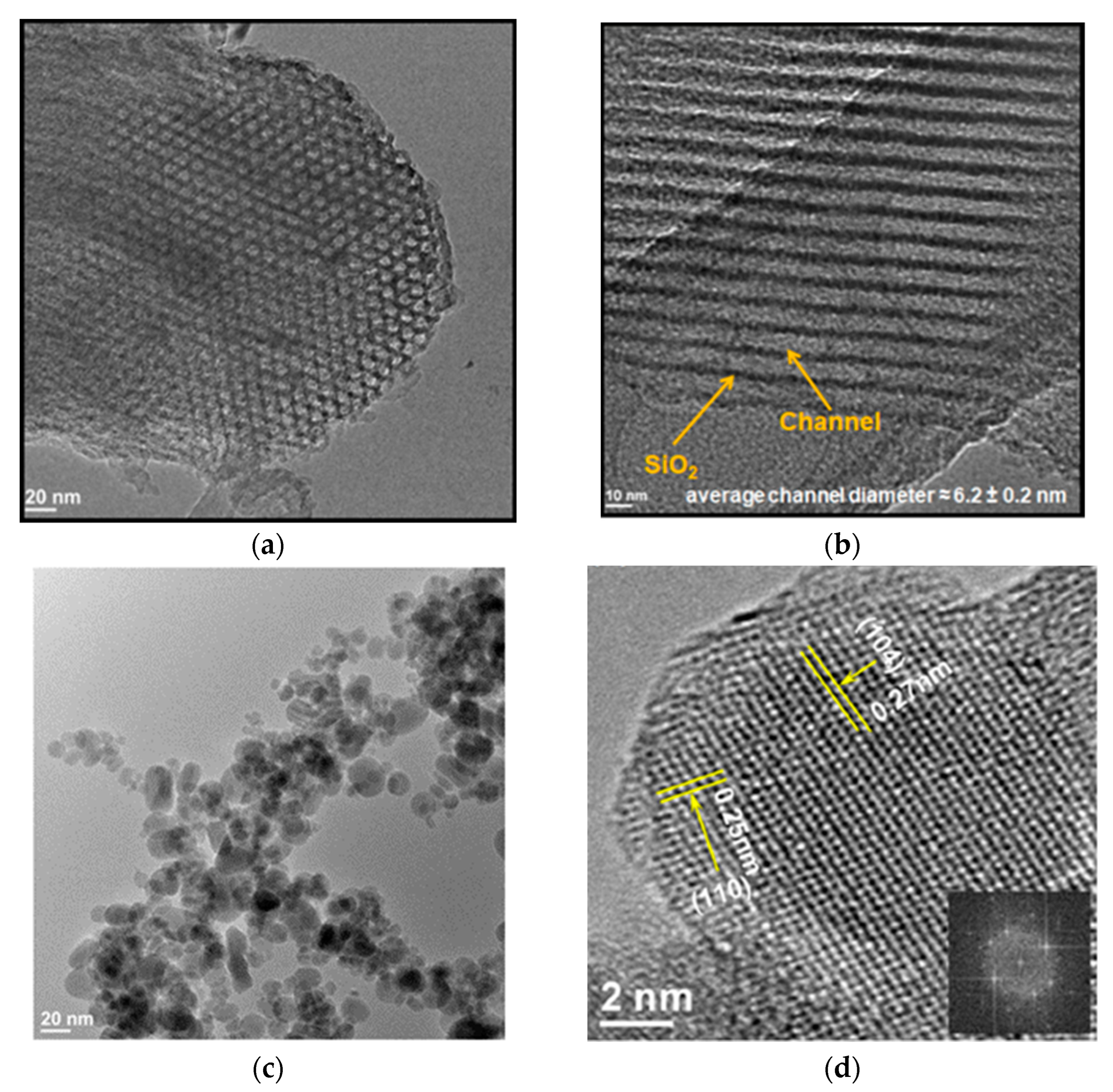Nanomaterials 13 01902 g007