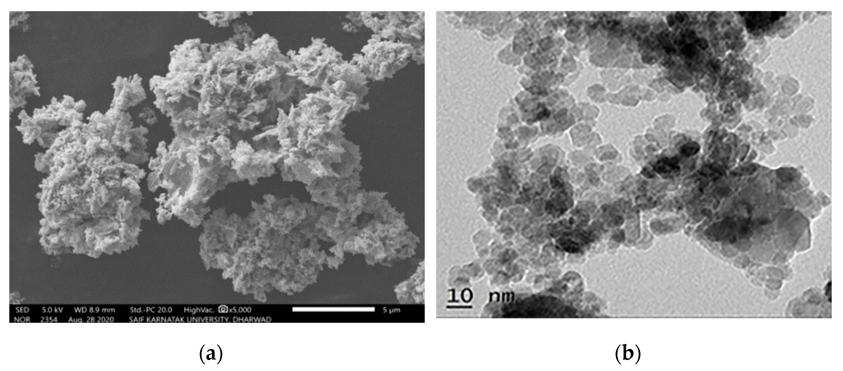 Nanomaterials 13 01902 g008
