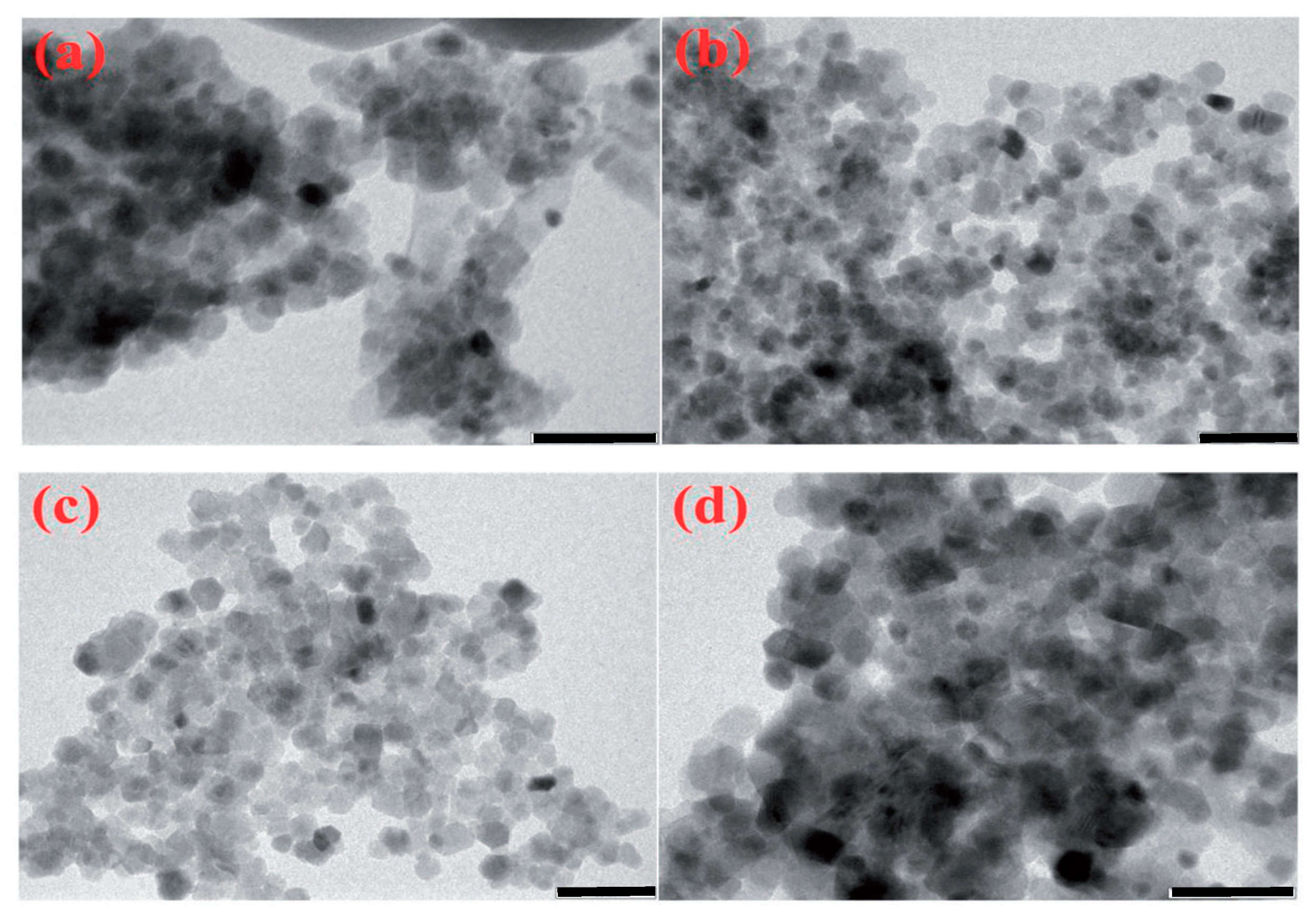 Nanomaterials 13 01902 g014
