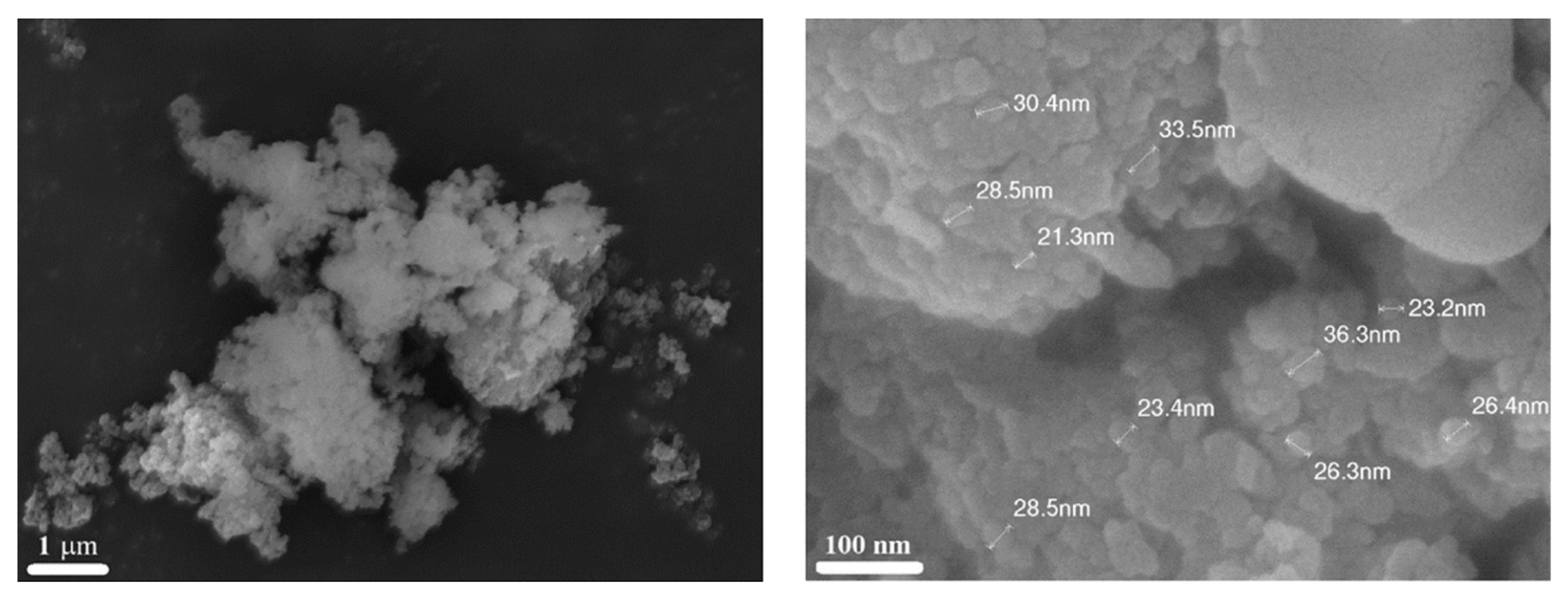 Nanomaterials 13 01902 g015