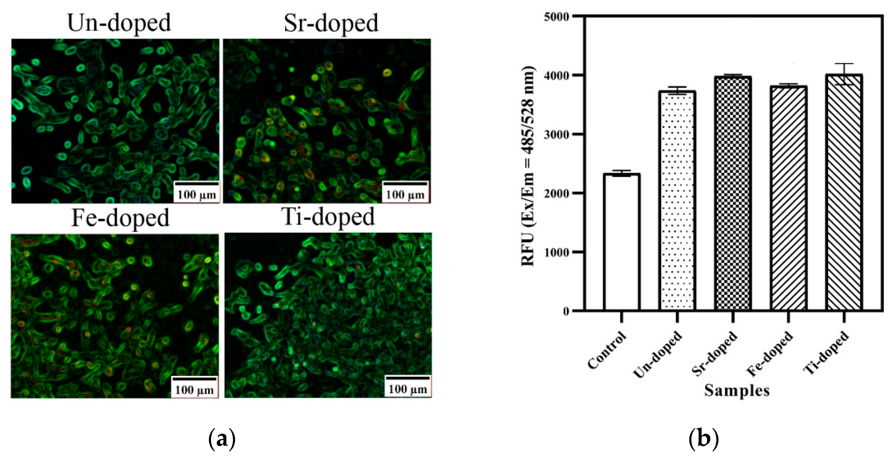 Nanomaterials 13 01902 g017