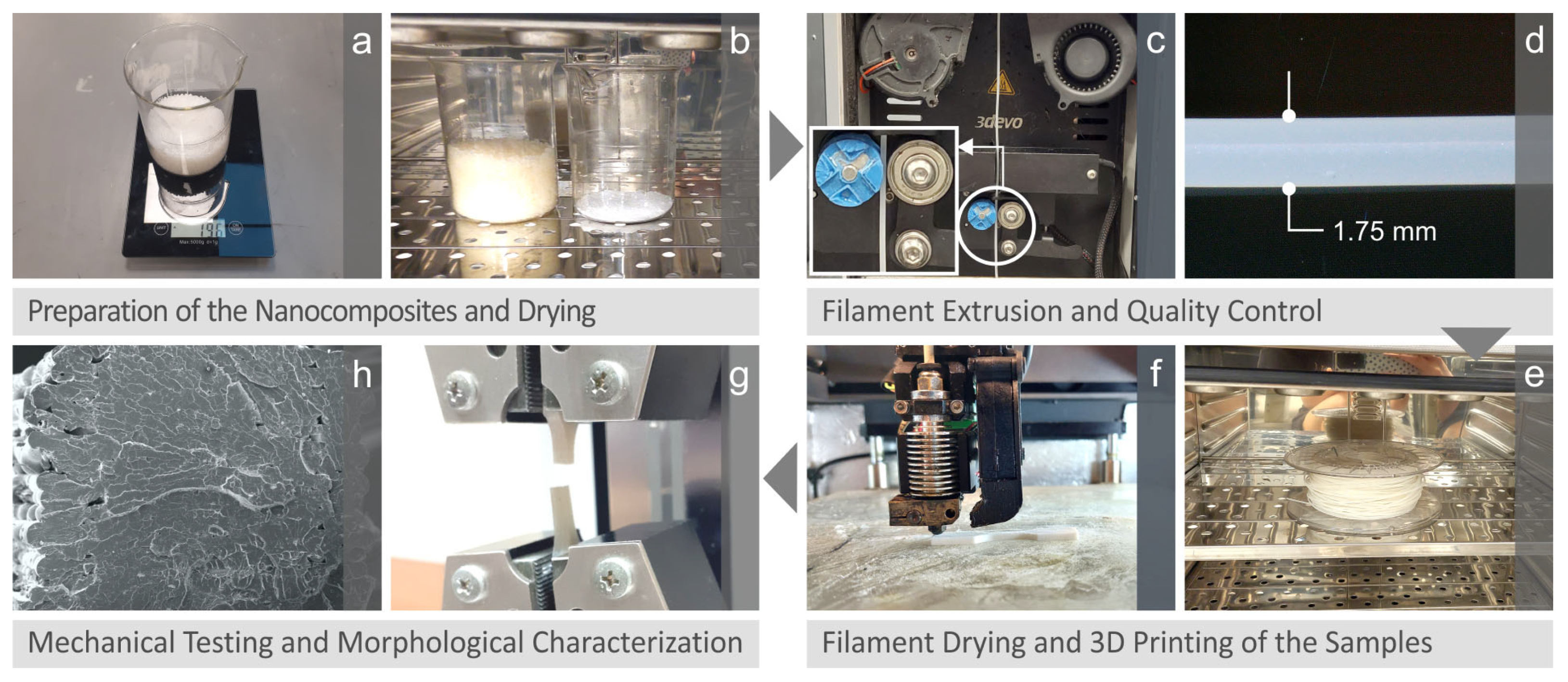 Nanomaterials 13 01906 g001