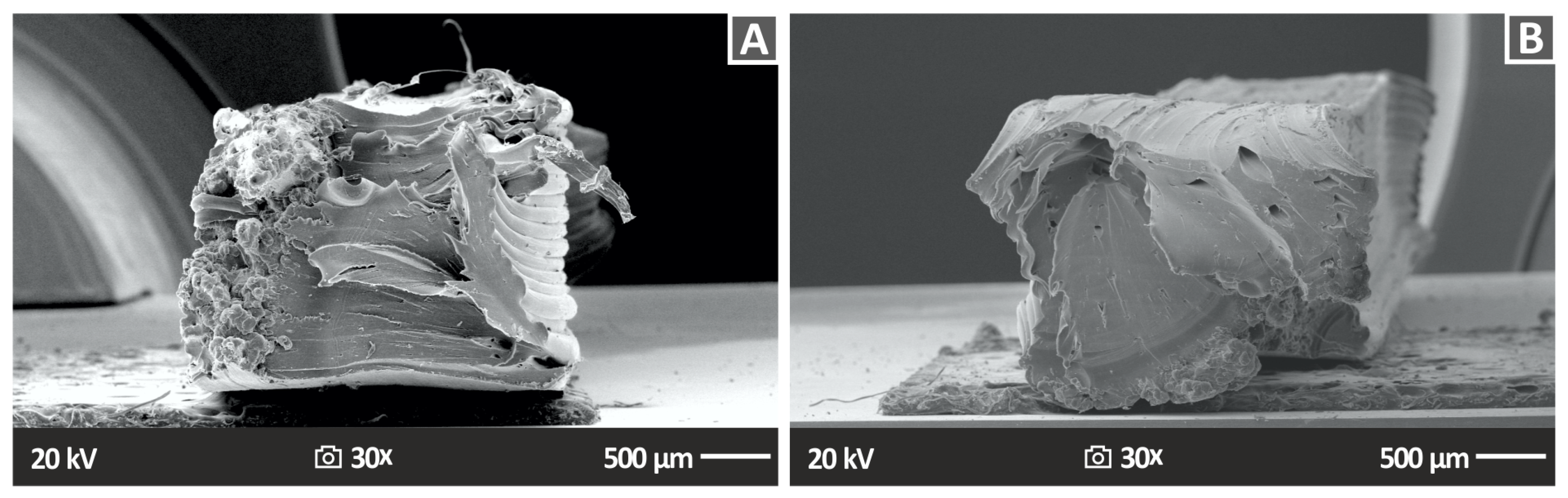 Nanomaterials 13 01906 g015