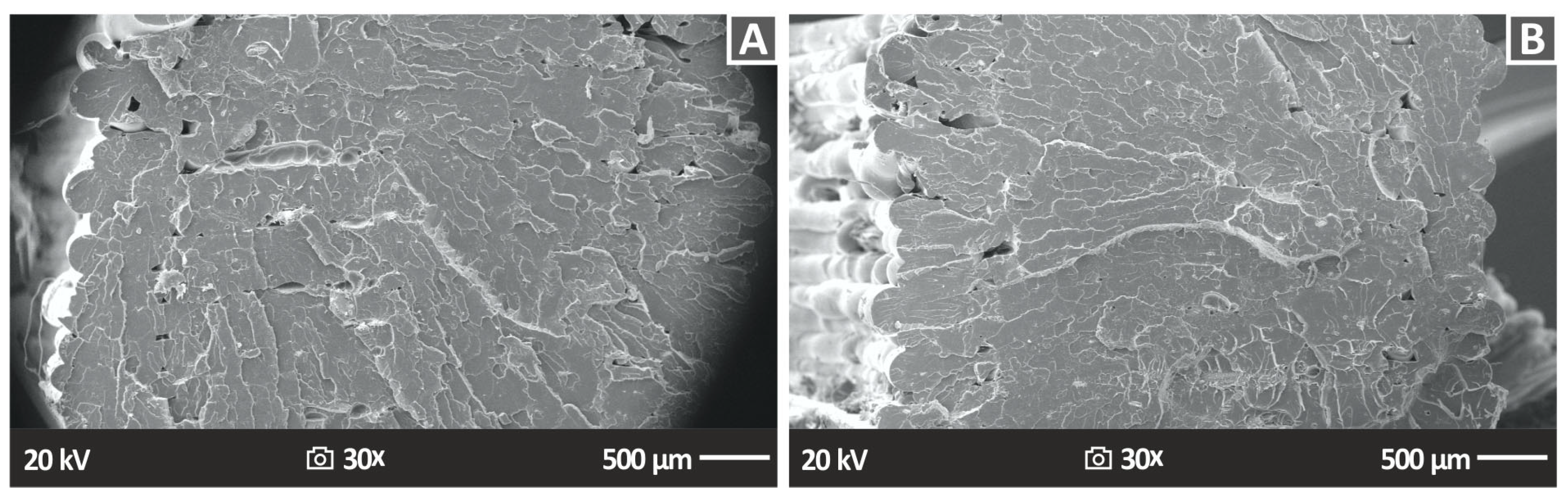 Nanomaterials 13 01906 g017