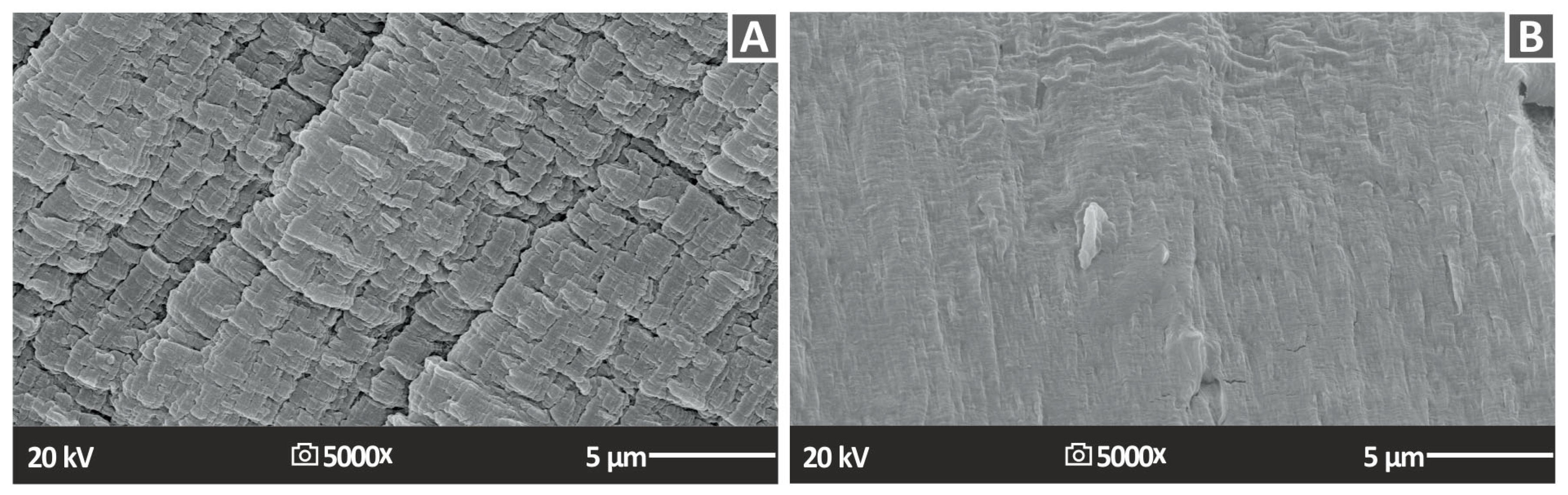 Nanomaterials 13 01906 g018