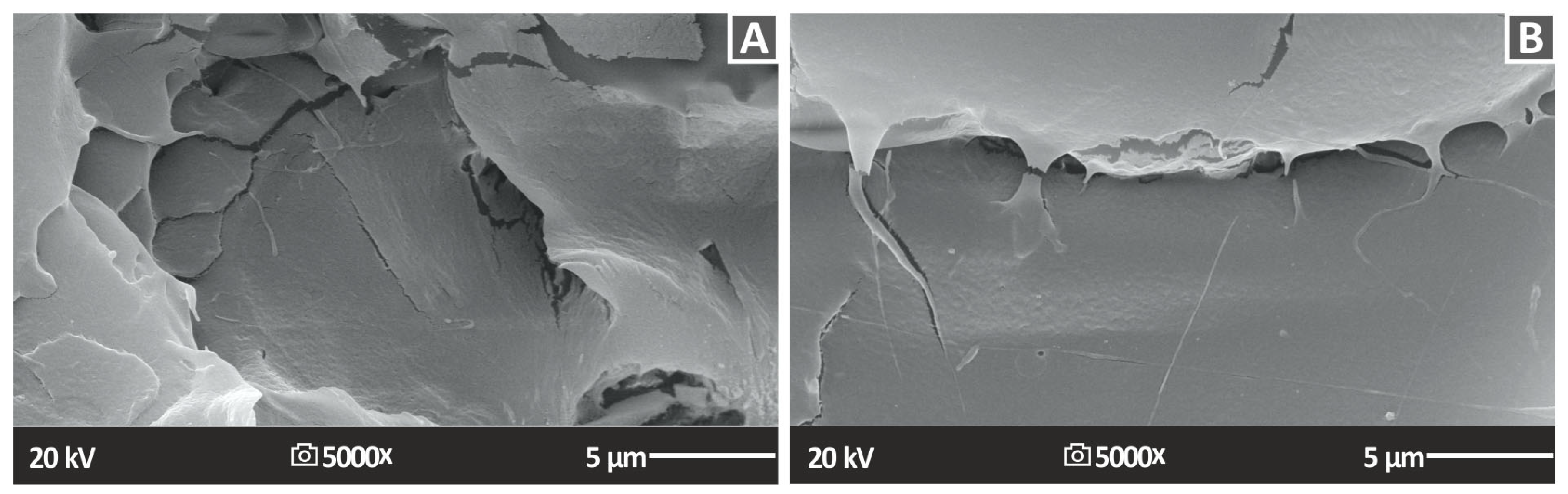 Nanomaterials 13 01906 g019