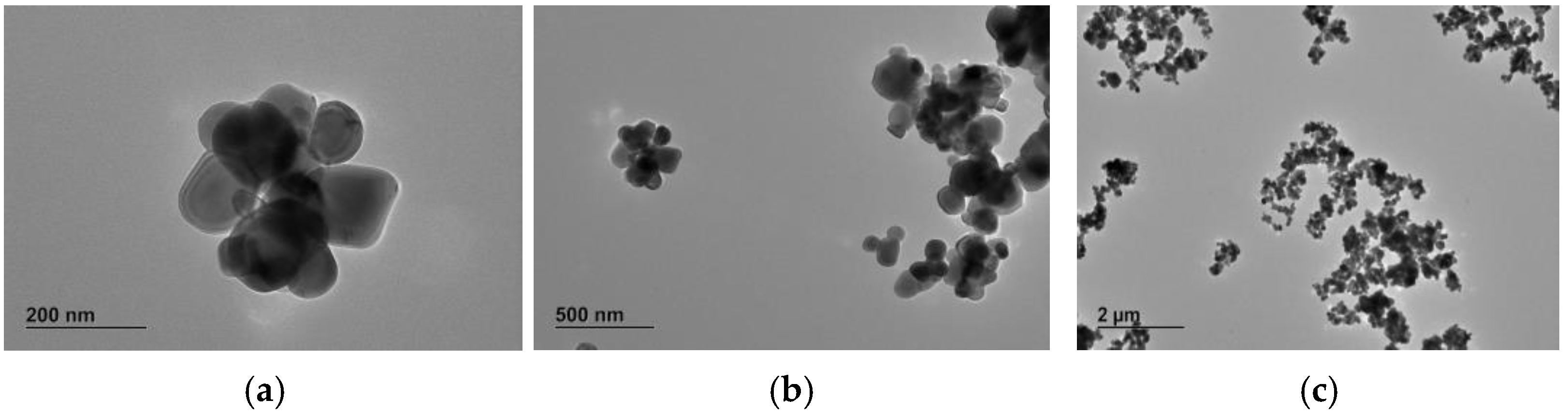 Nanomaterials 13 01908 g001