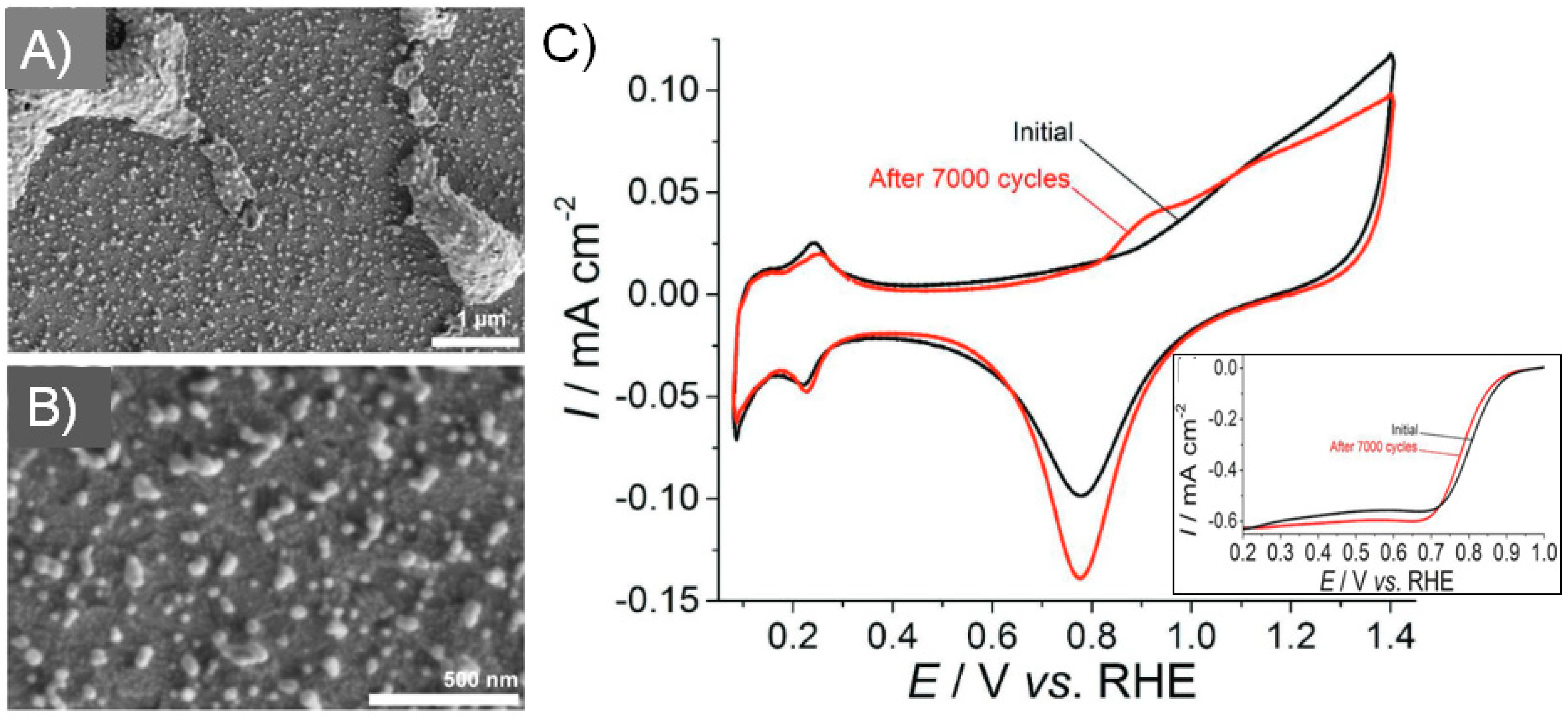 Nanomaterials 13 01915 g004