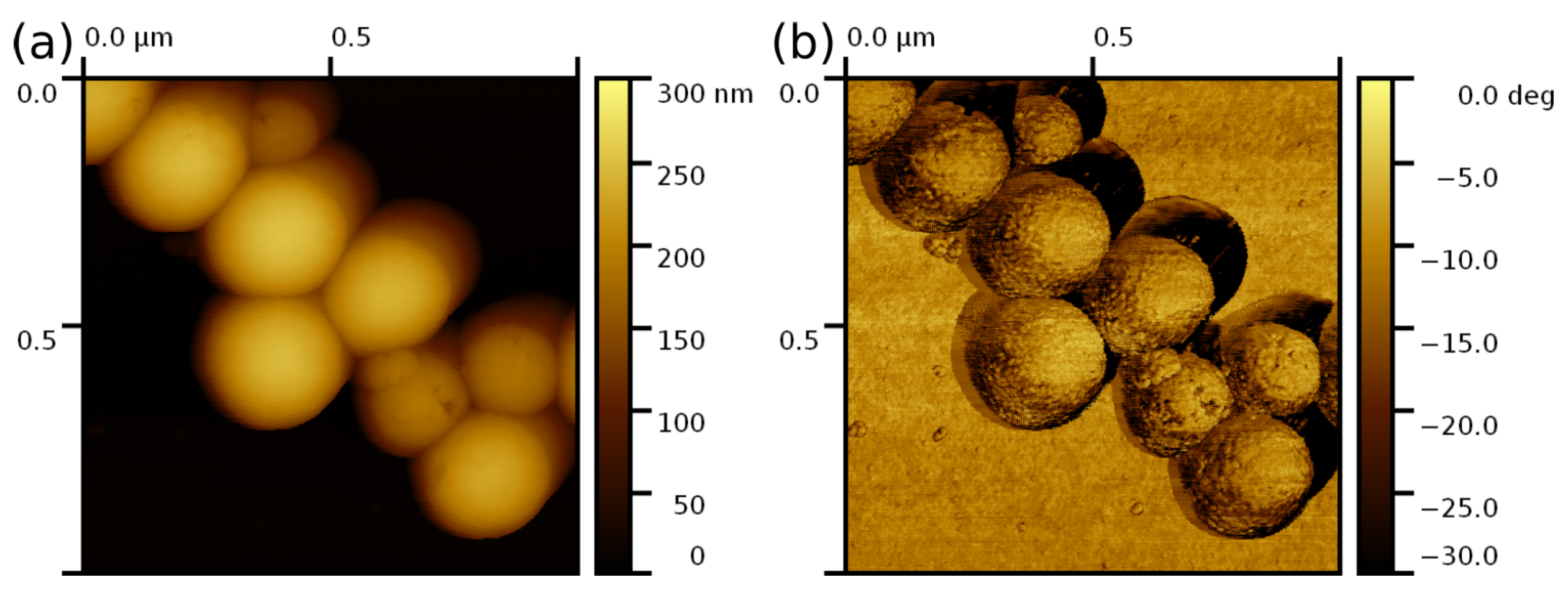 Nanomaterials 13 01916 g005 Nanomaterials 13 01916 g005