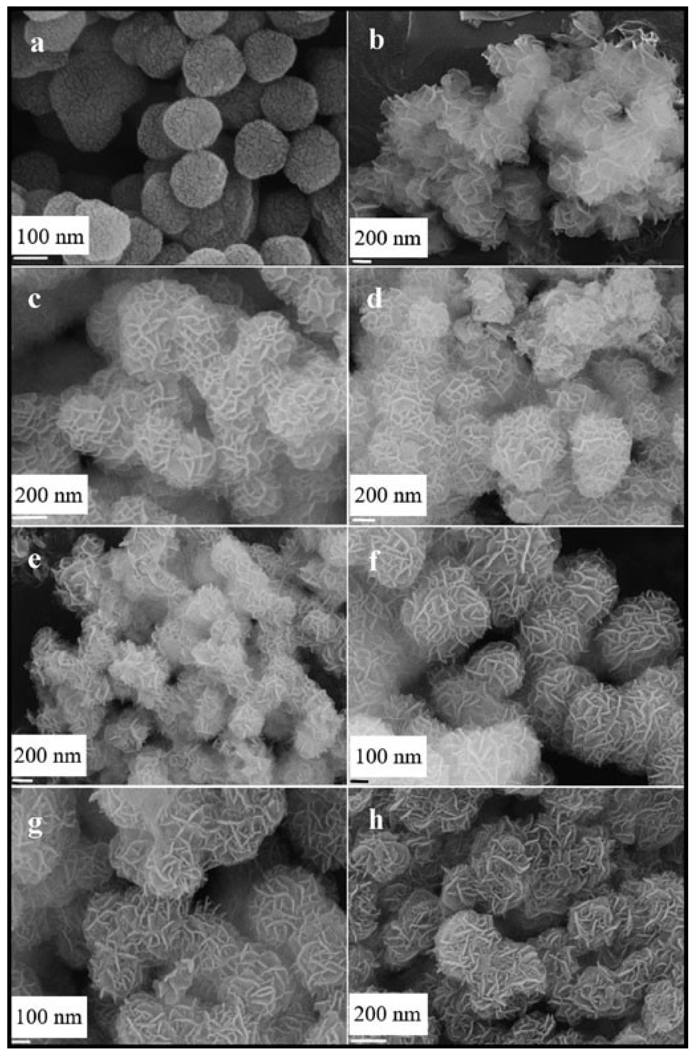 Nanomaterials 13 01917 g014 Nanomaterials 13 01917 g014