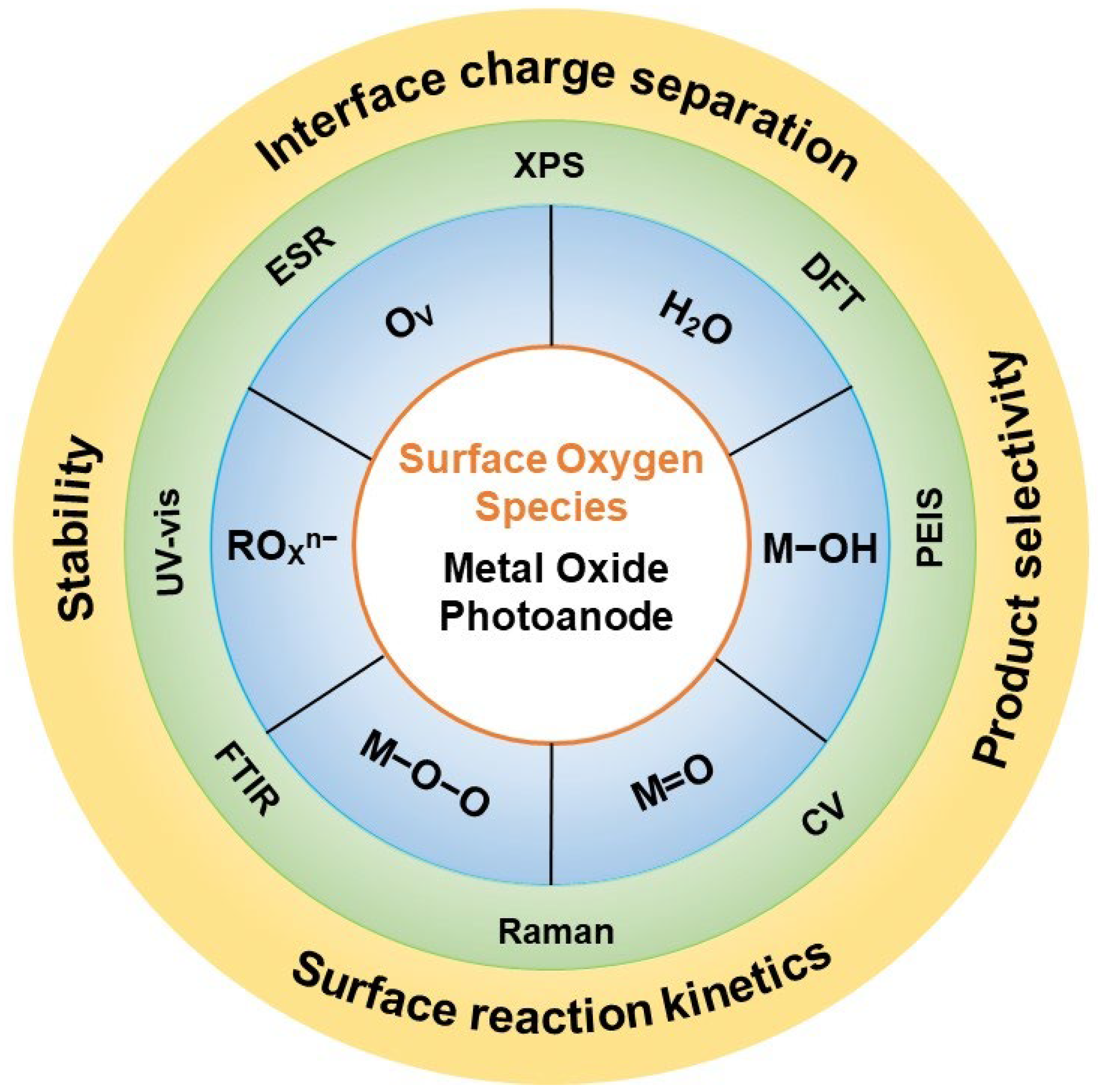 Nanomaterials 13 01919 g001