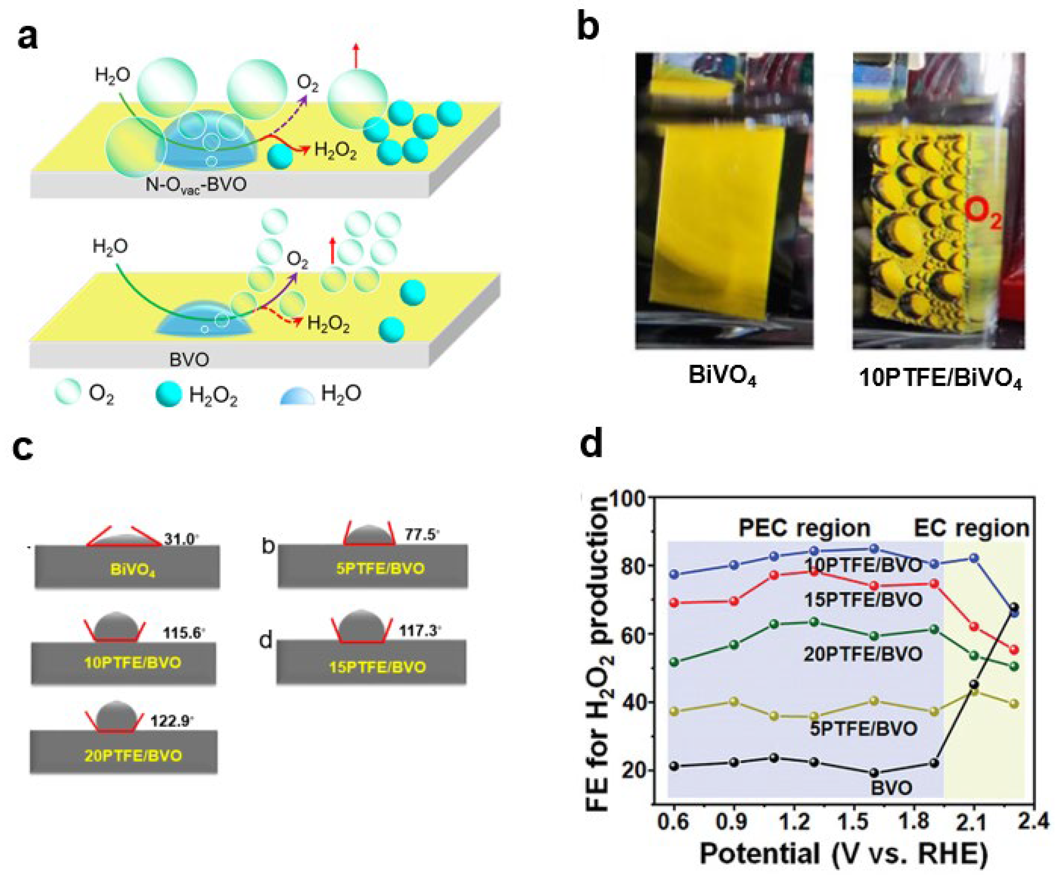 Nanomaterials 13 01919 g005